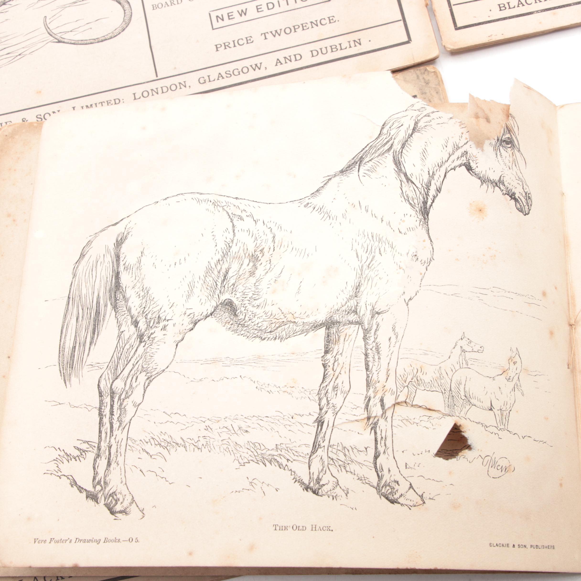 "Vere Foster's Drawing Book" Series Including Animals, Mid to Late 19th Century