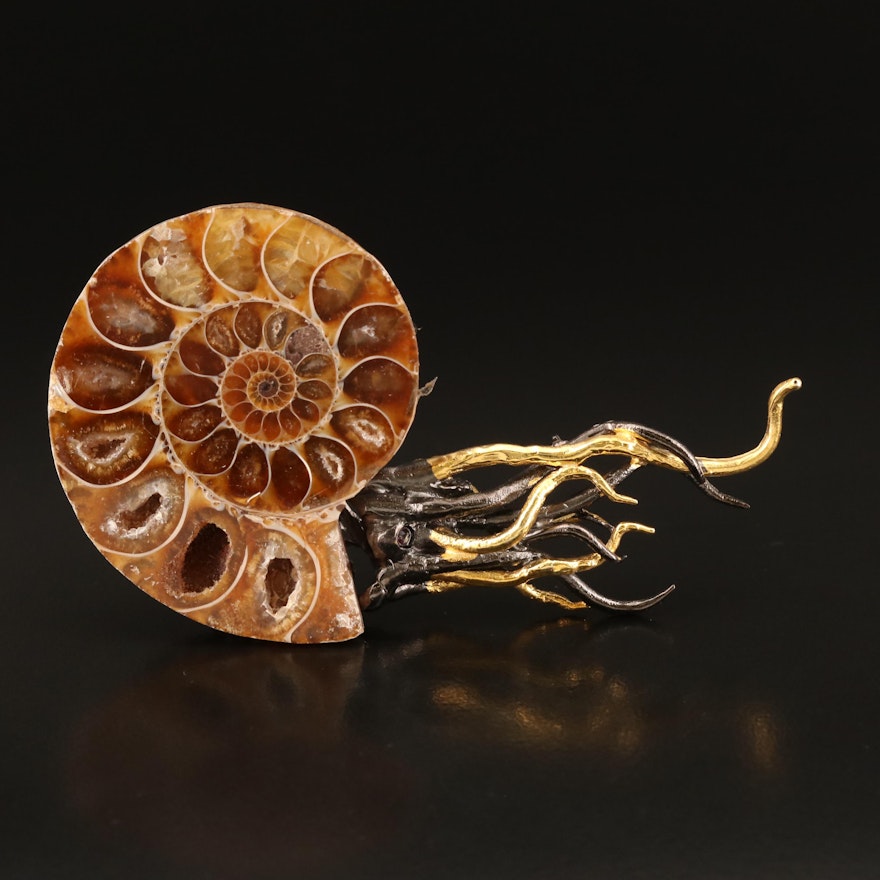 Sterling Ammonite Nautilidae Brooch