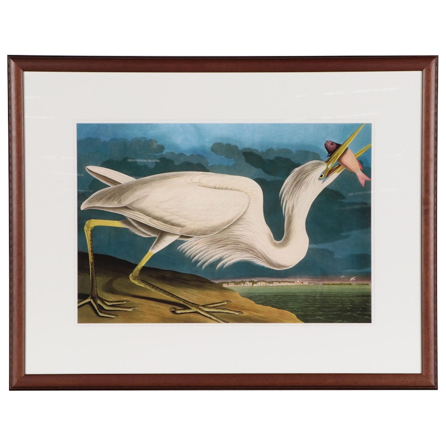 Giclée After John James Audubon of Egret, 21st Century