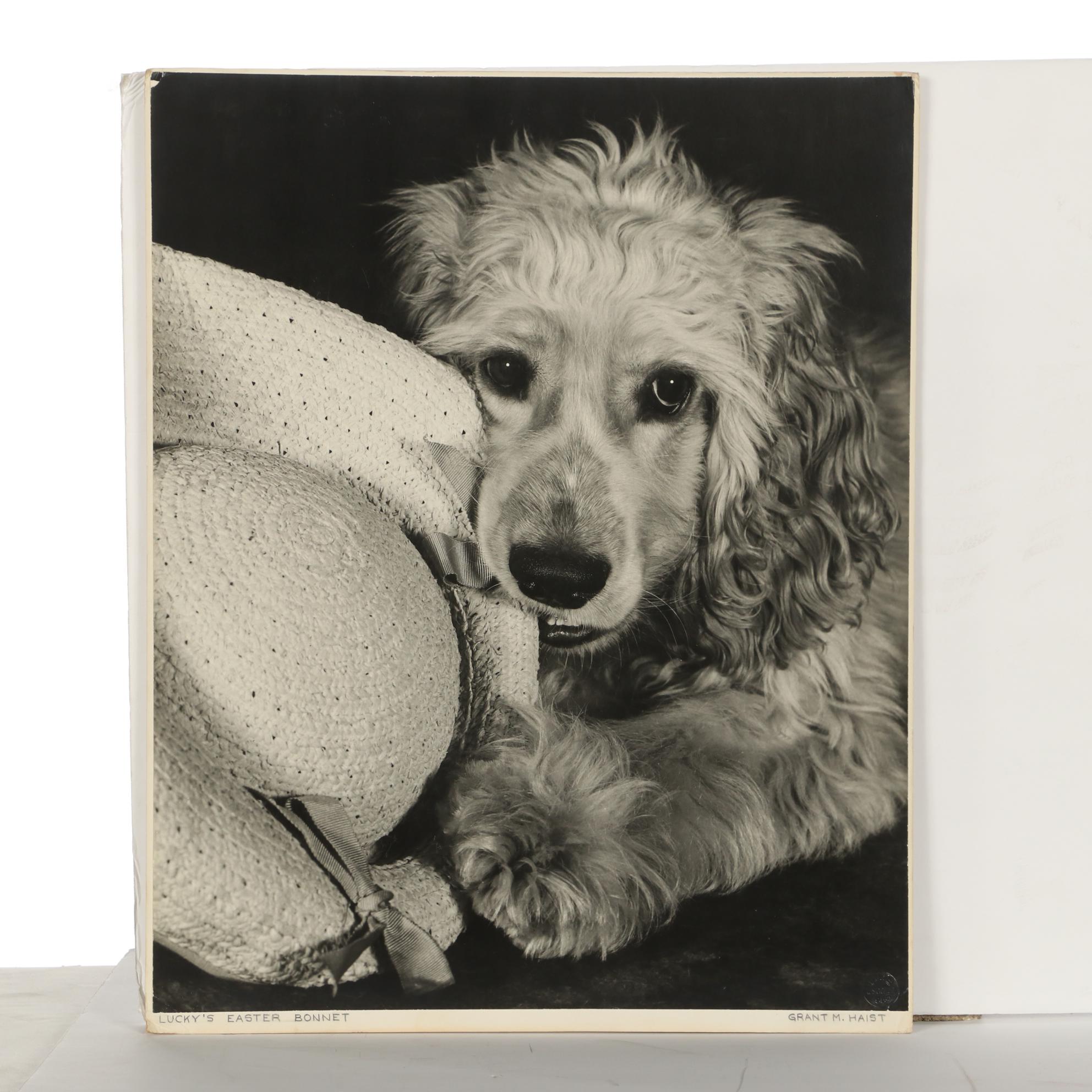 Grant Haist Silver Print Photographs "Lucky's Easter Bonnet" and "Sun Time"