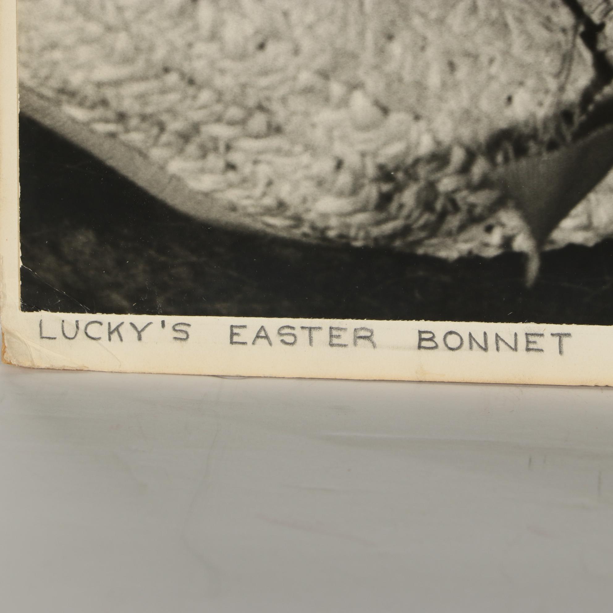 Grant Haist Silver Print Photographs "Lucky's Easter Bonnet" and "Sun Time"