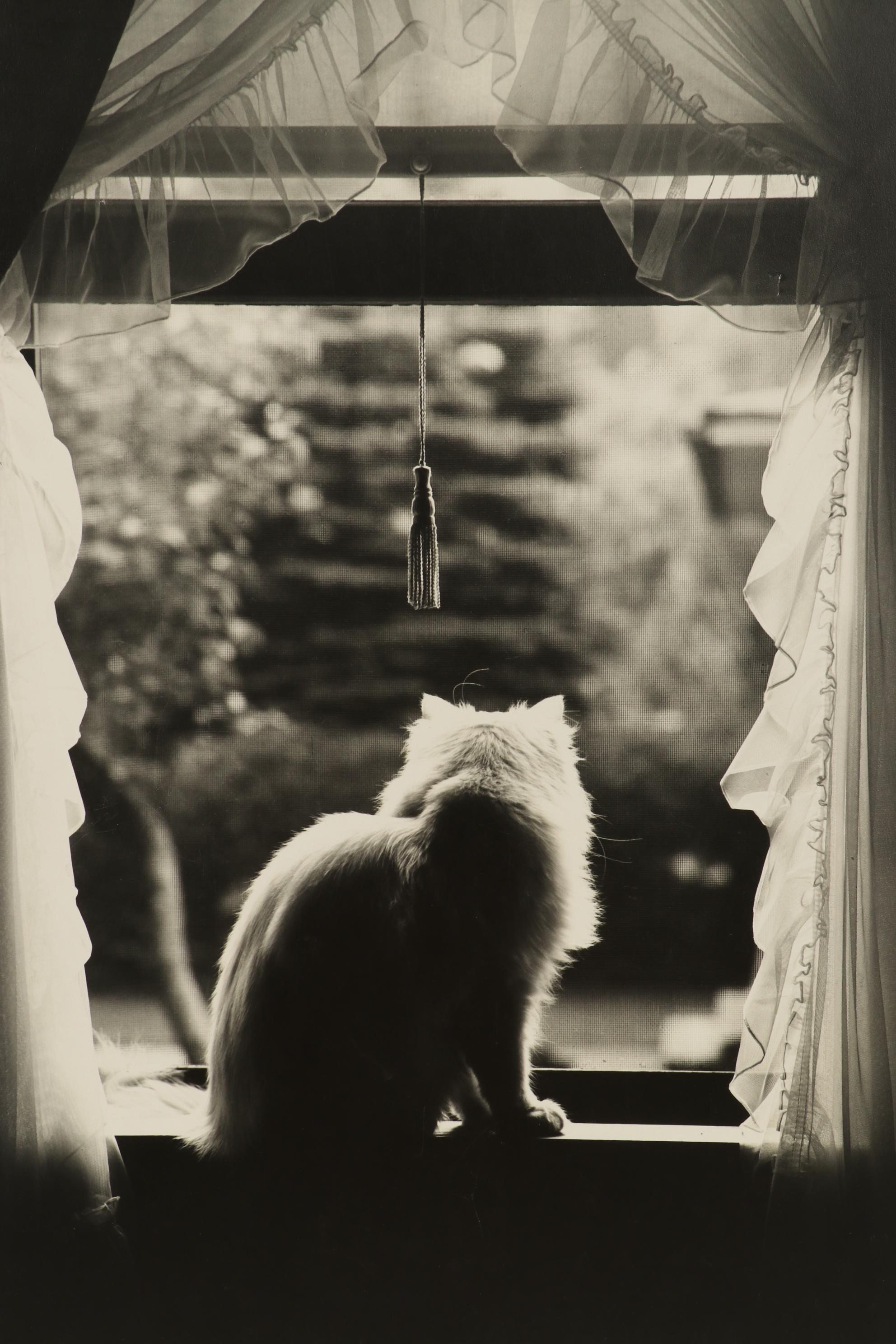 Grant Haist Silver Print Photographs "Lucky's Easter Bonnet" and "Sun Time"