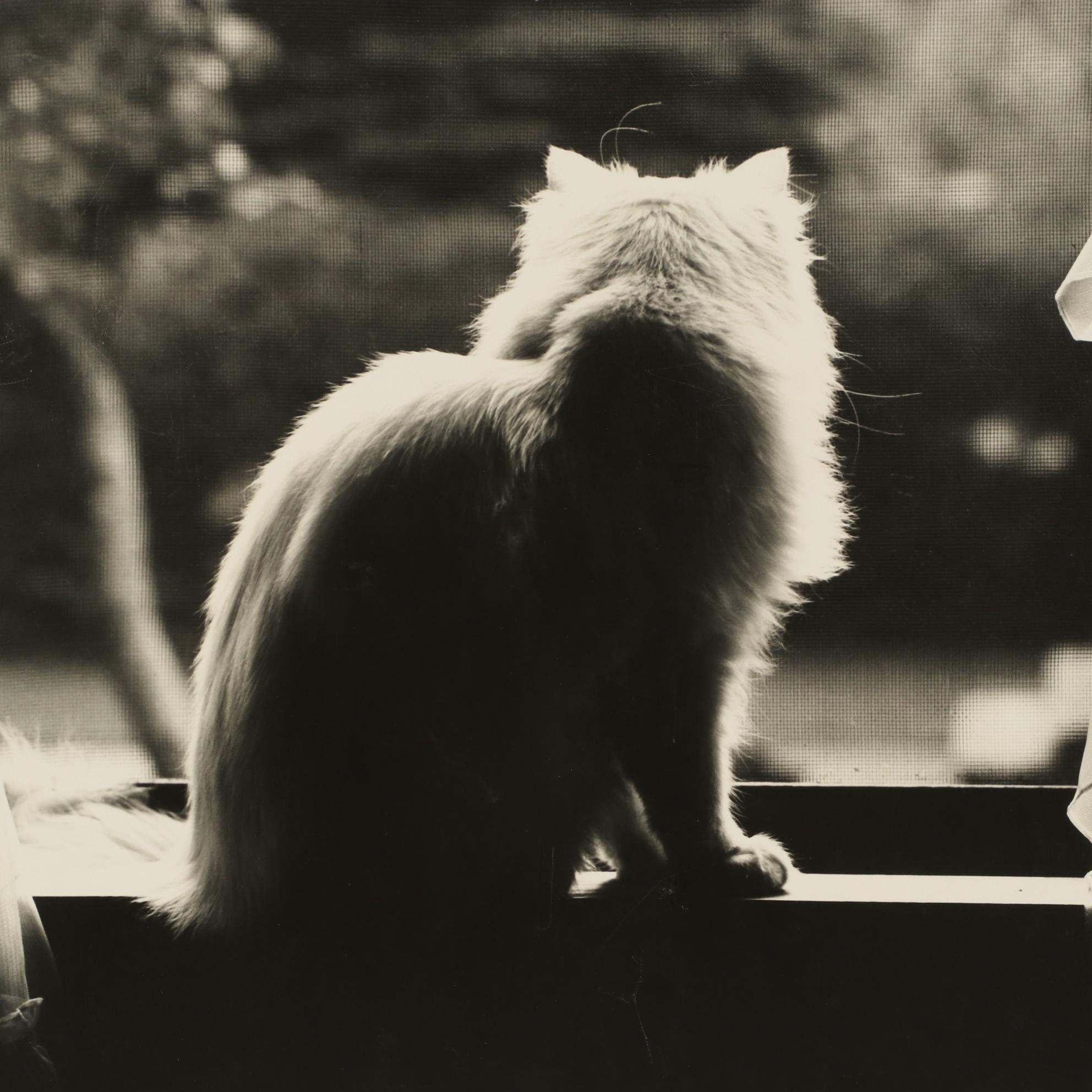 Grant Haist Silver Print Photographs "Lucky's Easter Bonnet" and "Sun Time"