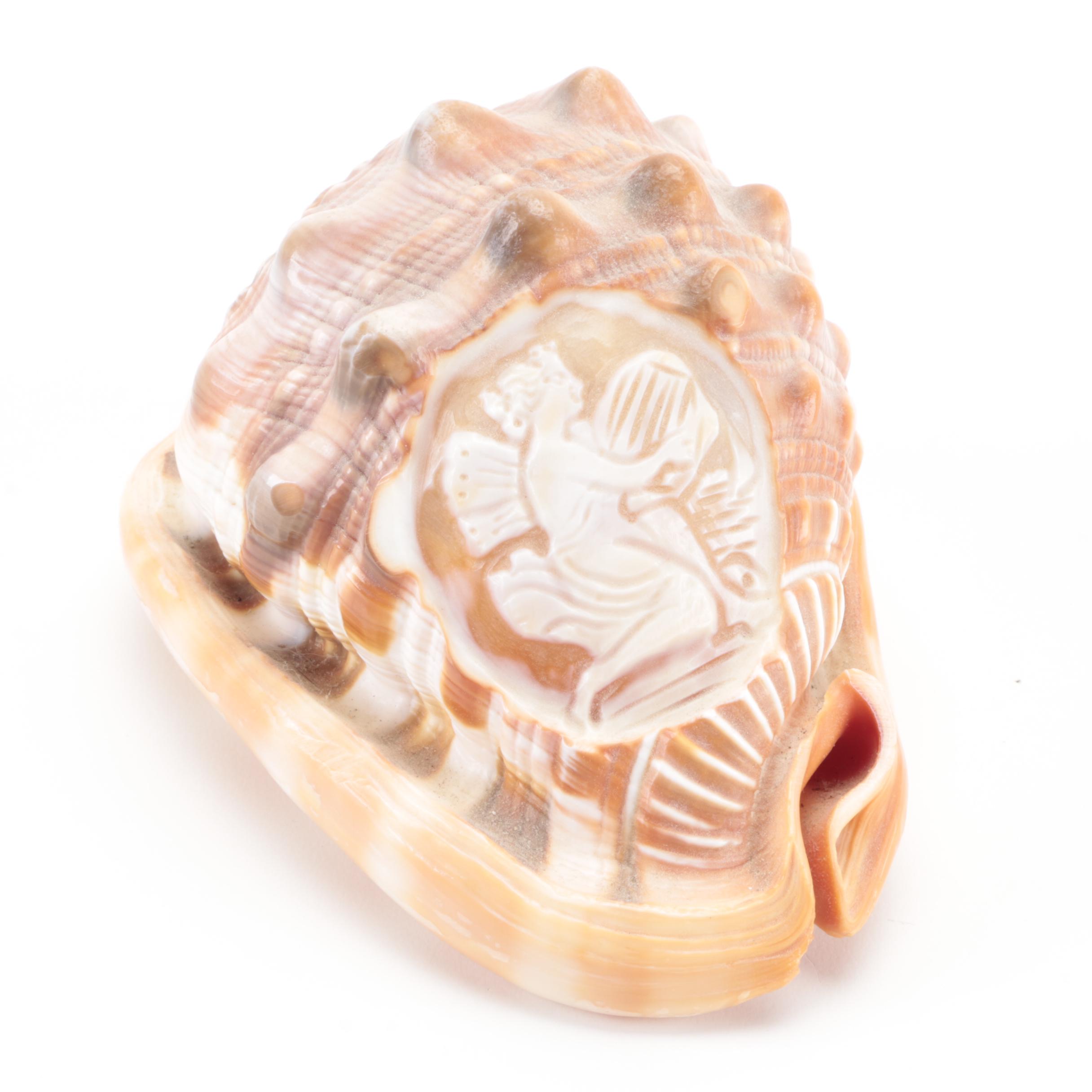 Italian King Helmet Conch Shell Cameo Carvings, 20th Century