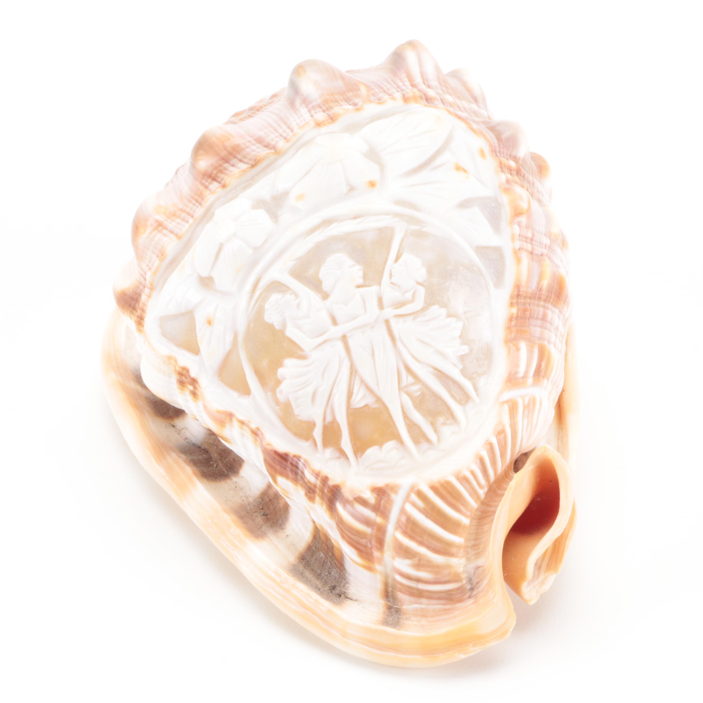 Italian King Helmet Conch Shell Cameo Carvings, 20th Century