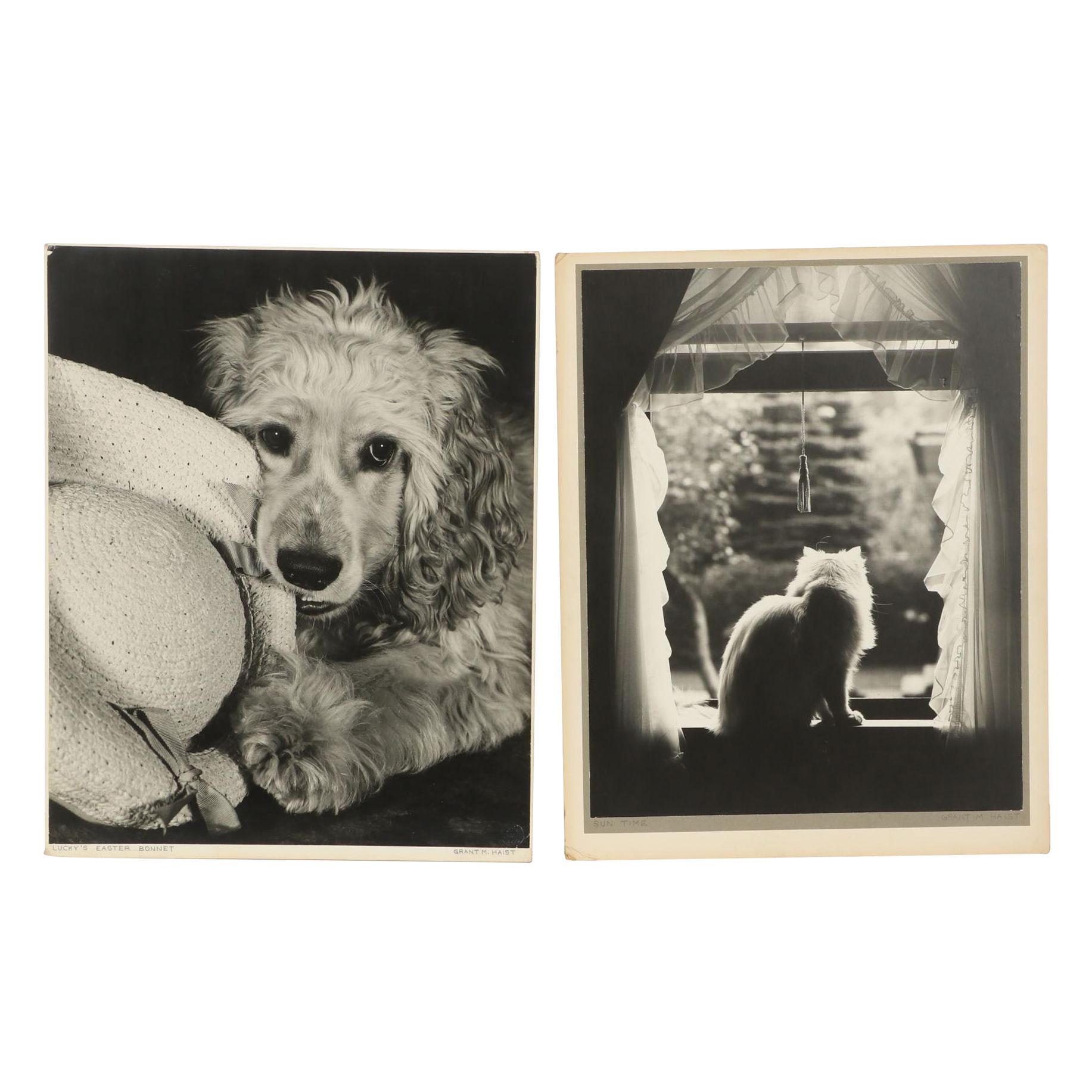 Grant Haist Silver Print Photographs "Lucky's Easter Bonnet" and "Sun Time"