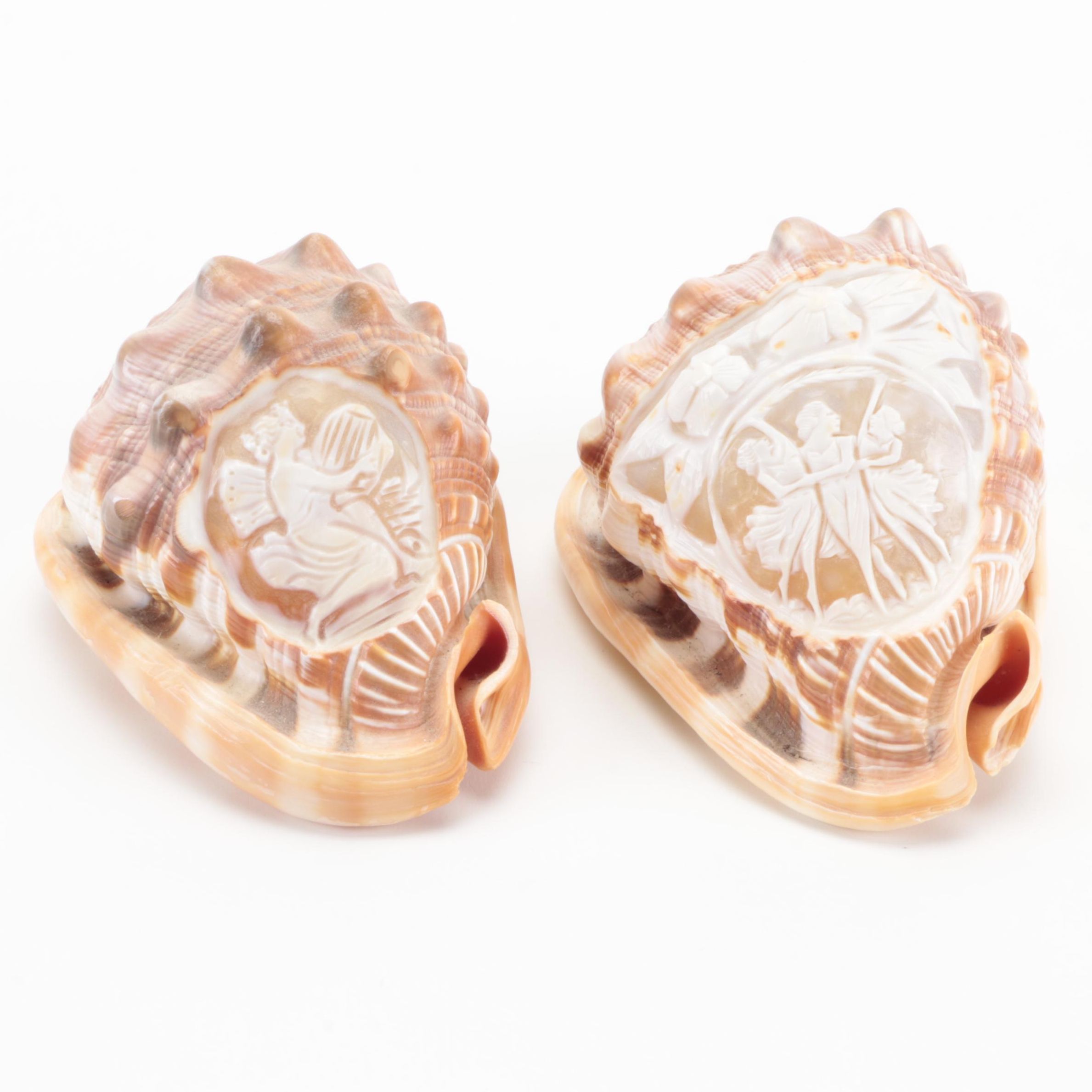 Italian King Helmet Conch Shell Cameo Carvings, 20th Century