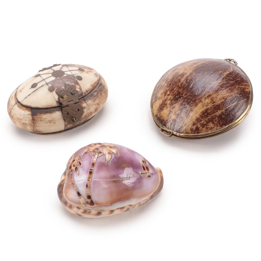 Carved Bone and Coconut Shell Small Boxes with Carved Tiger Cowrie Shell