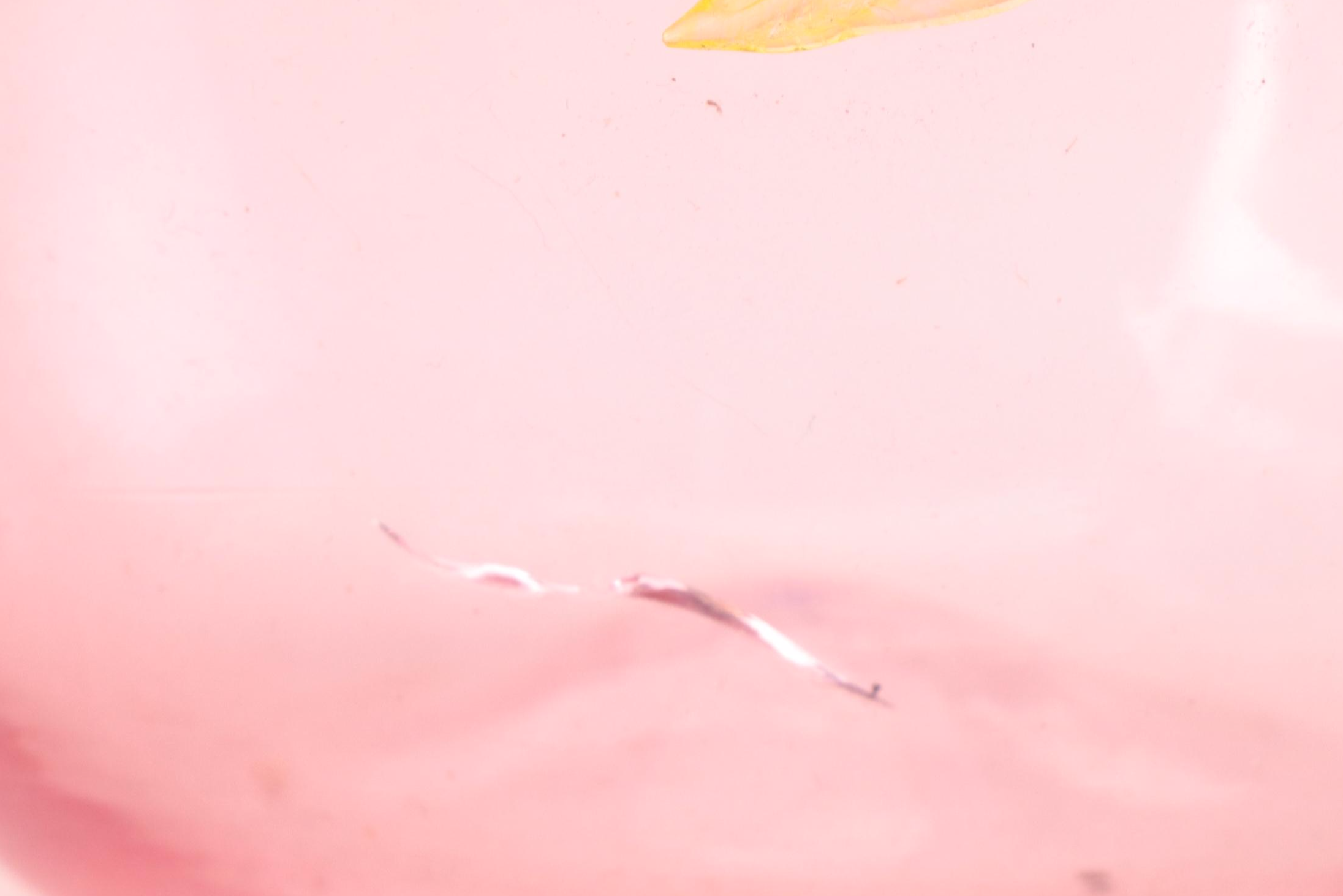 Victorian Hand-Painted Cranberry Glass Pickle Castor and Other Tableware