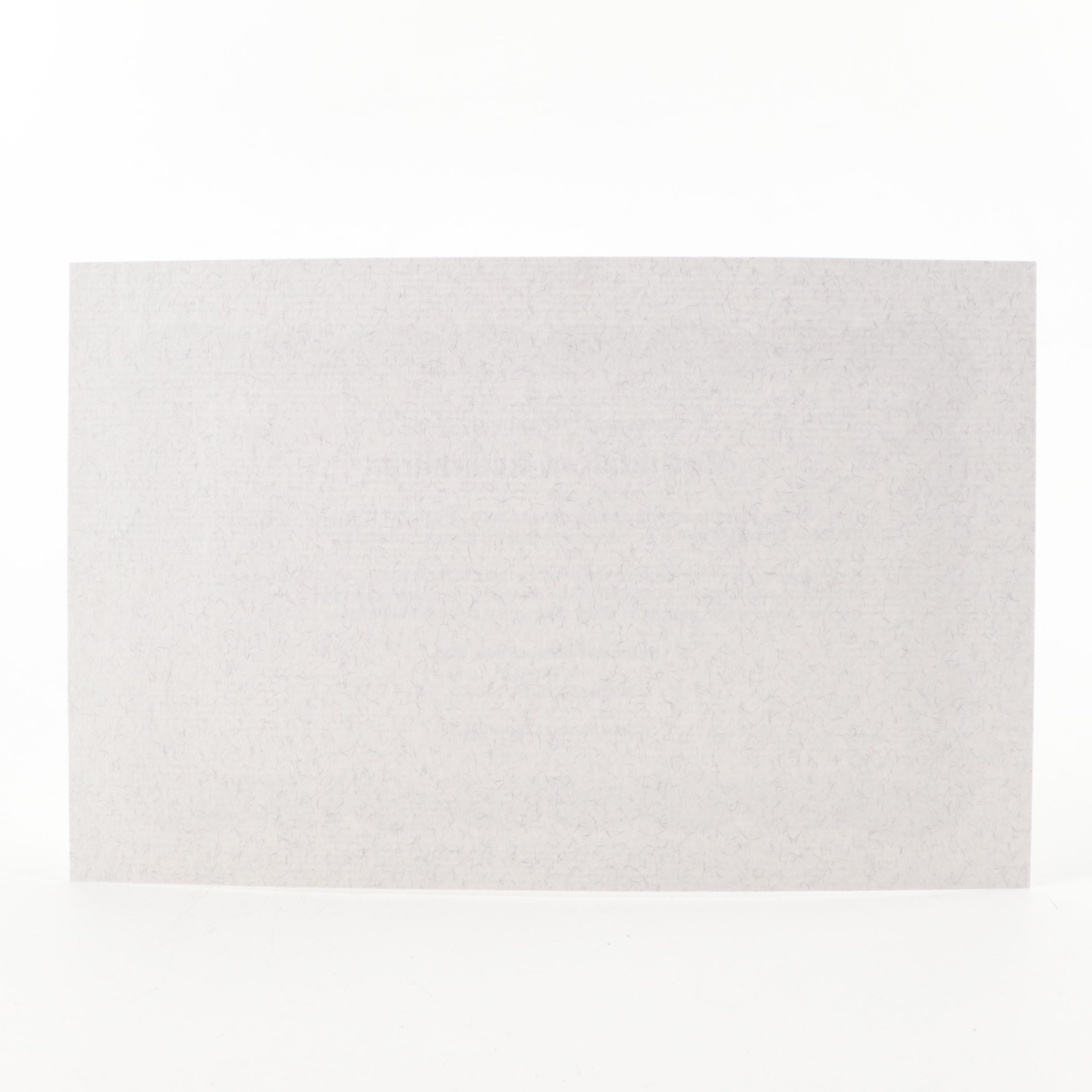 Tom Hanks, Sally Field, and Gary Sinise Signed "Forrest Gump" Movie Print