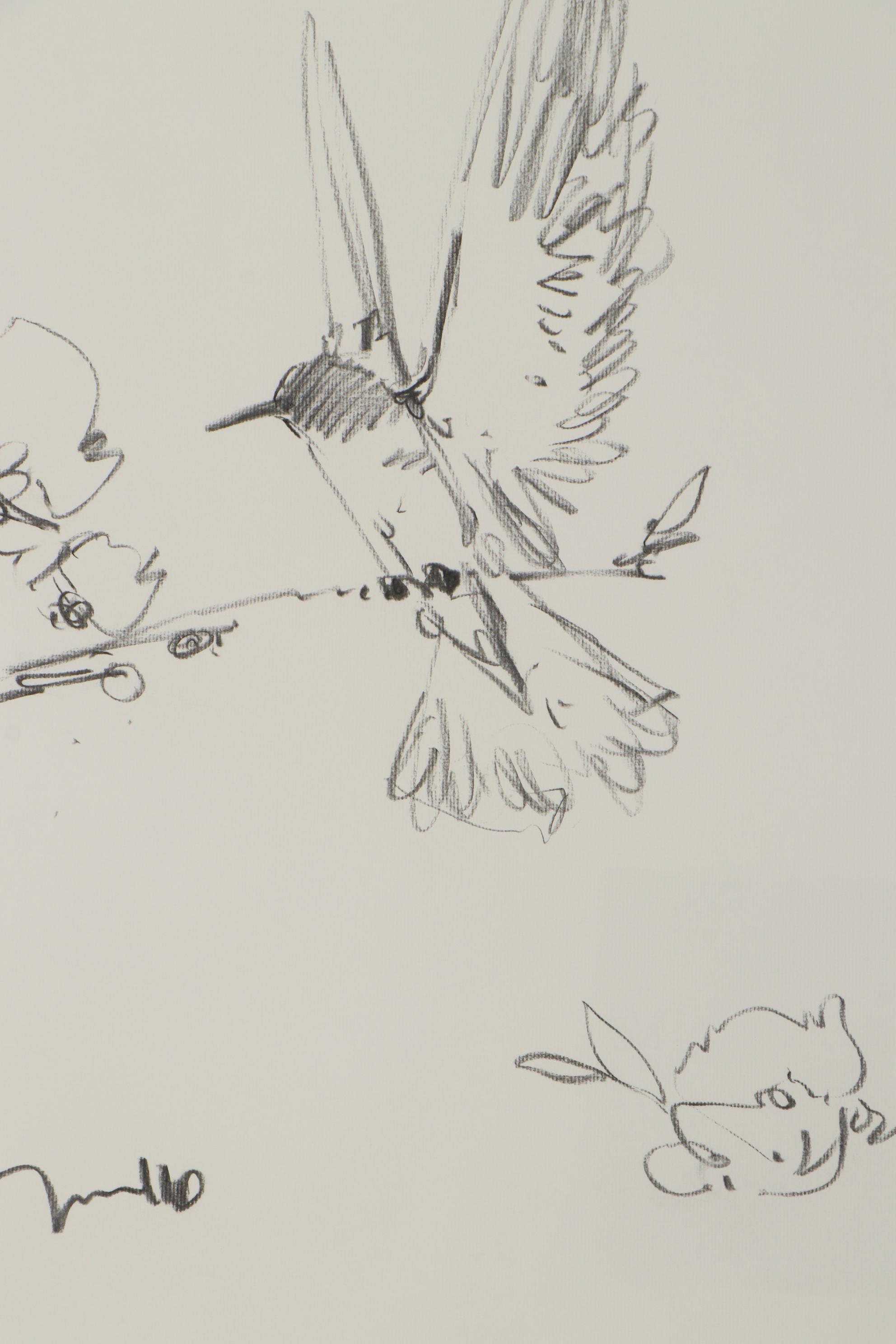 Jose Trujillo Charcoal Drawing "Hummingbird"