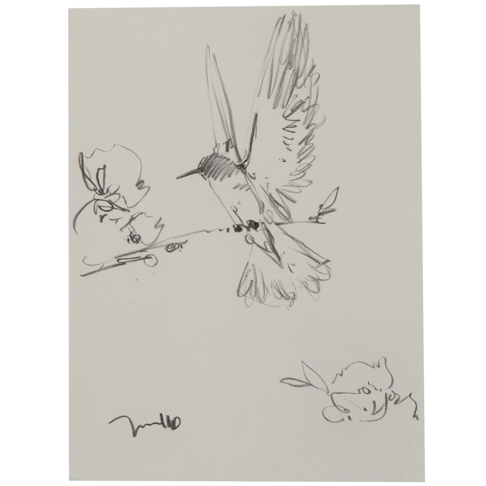 Jose Trujillo Charcoal Drawing "Hummingbird"