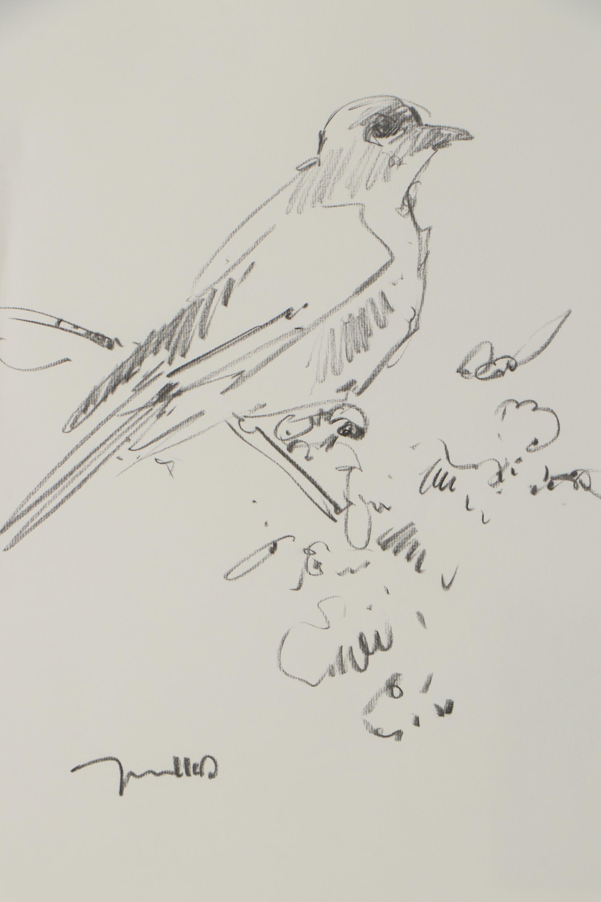 Jose Trujillo Charcoal Drawing "The Bird"