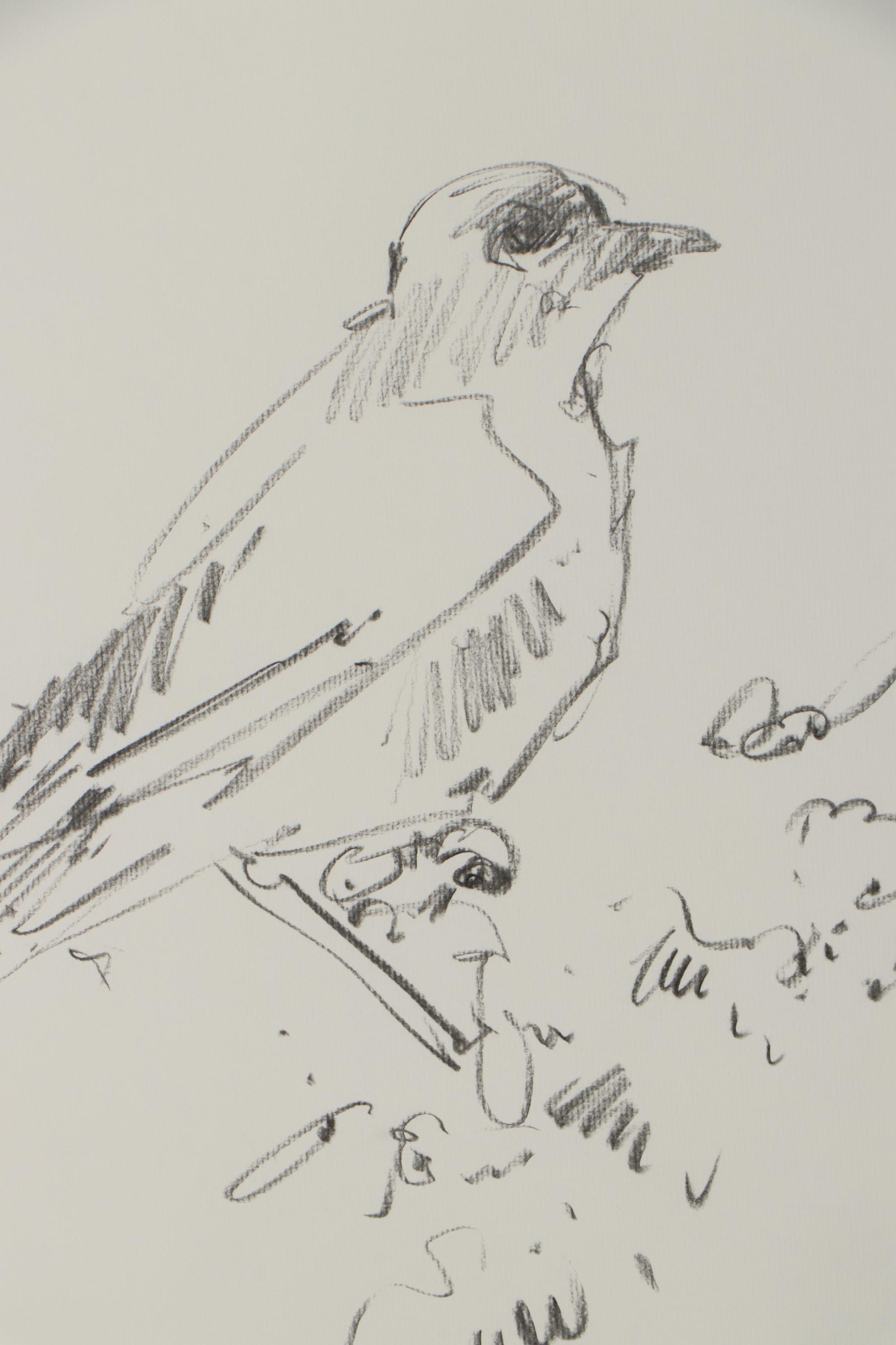 Jose Trujillo Charcoal Drawing "The Bird"