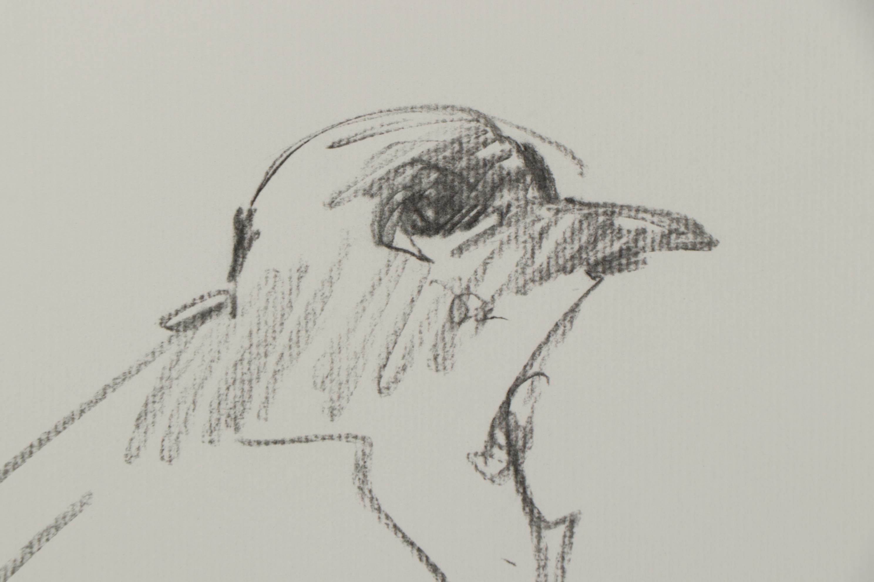 Jose Trujillo Charcoal Drawing "The Bird"