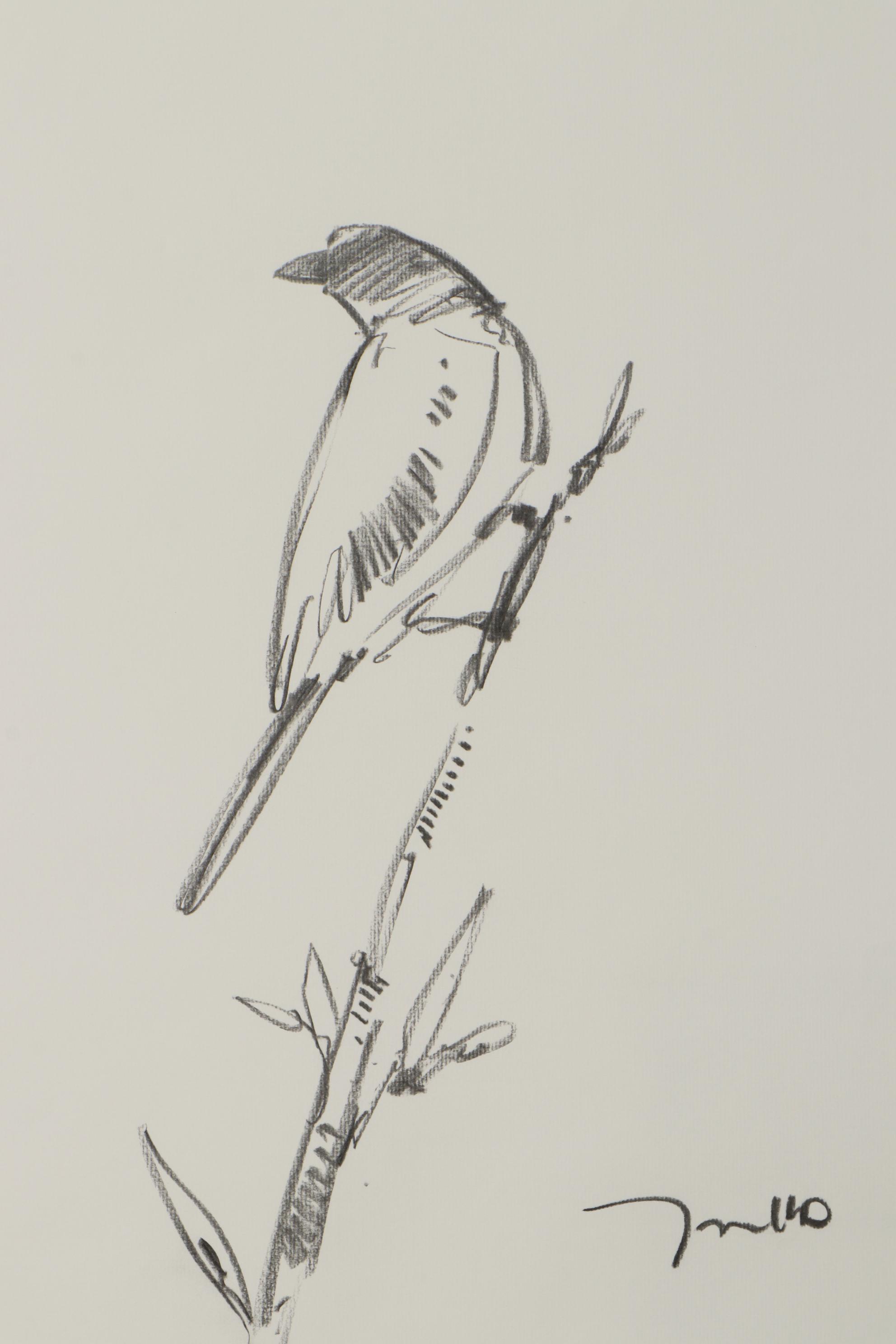 Jose Trujillo Charcoal Drawing "Little Bird II"