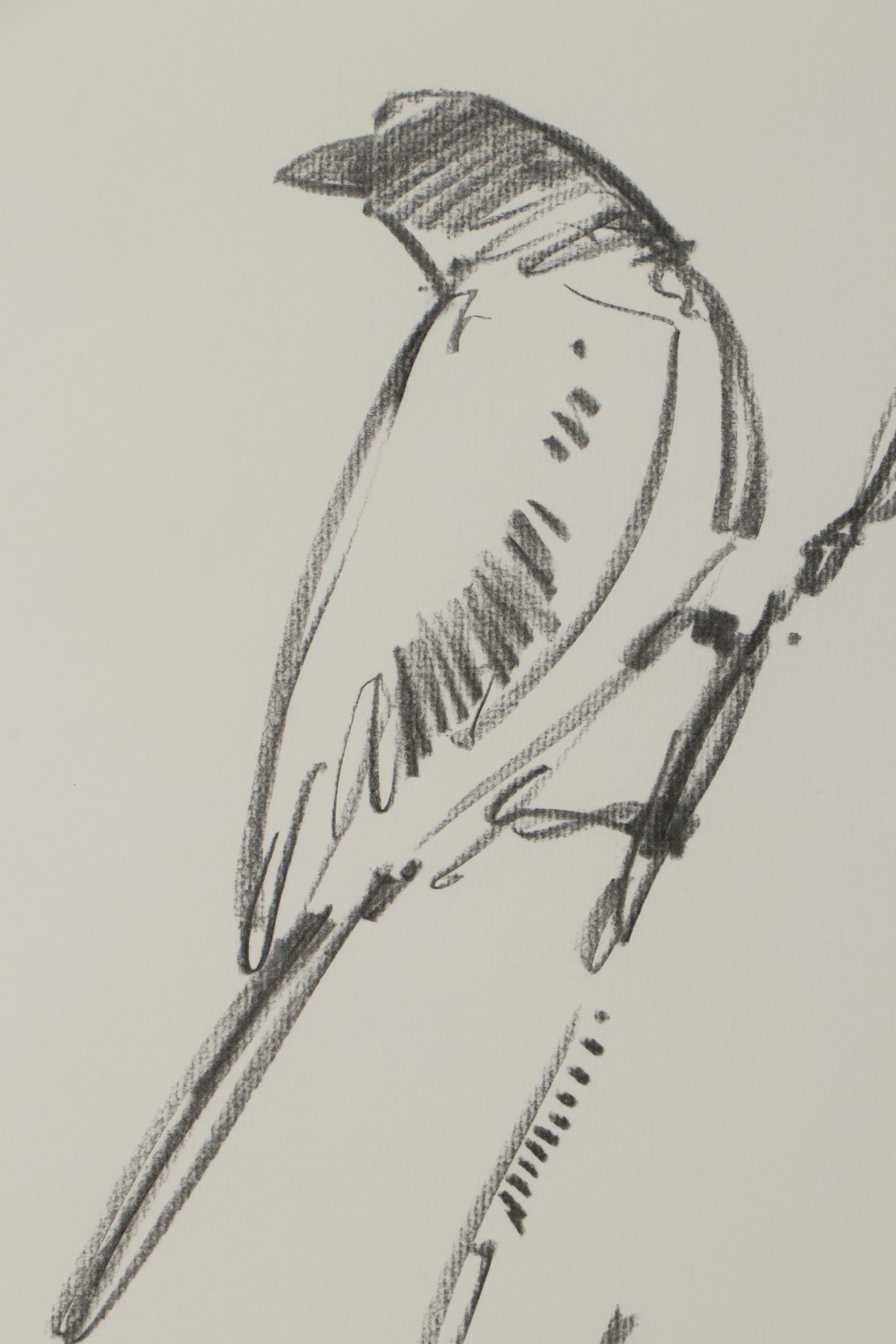 Jose Trujillo Charcoal Drawing "Little Bird II"