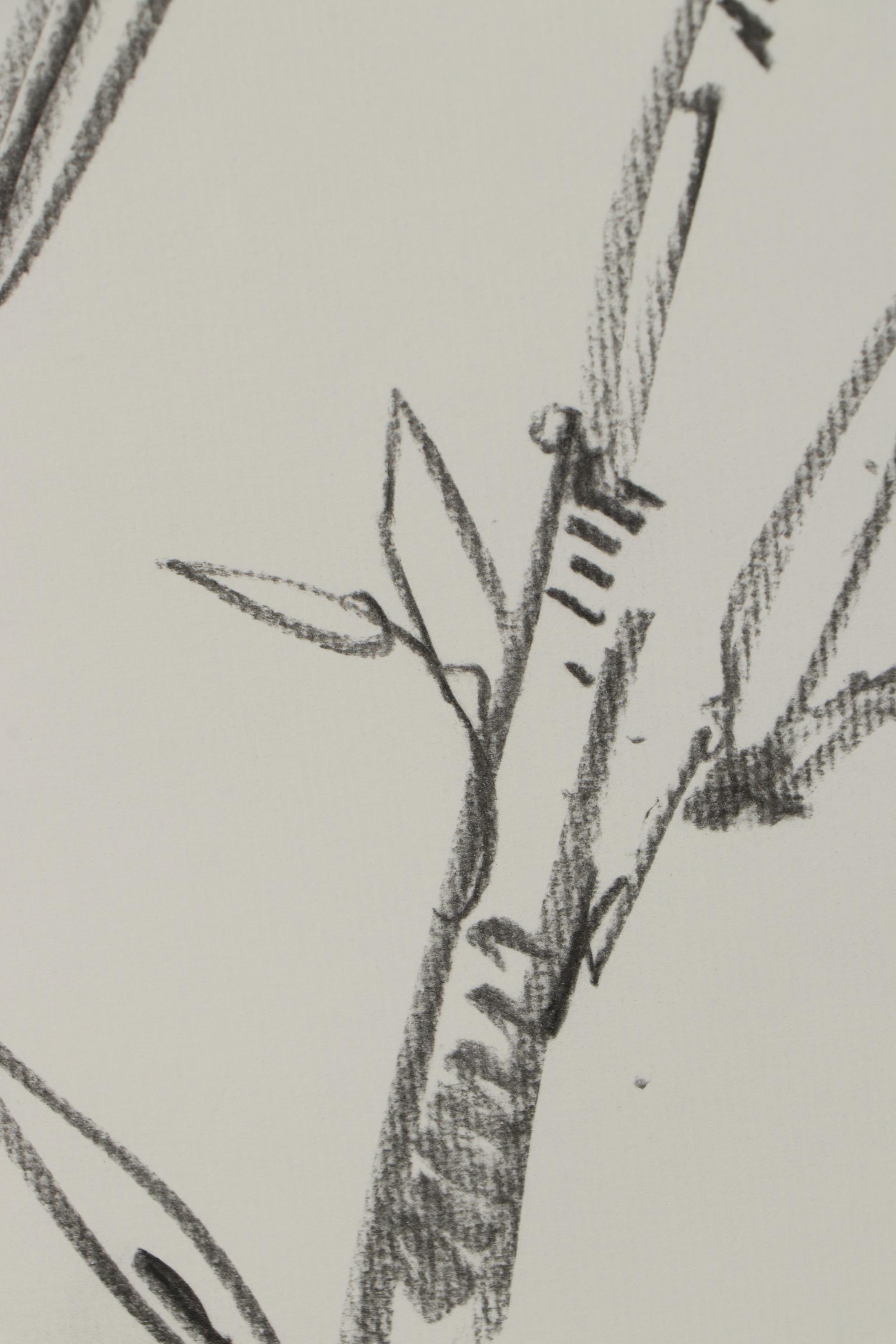 Jose Trujillo Charcoal Drawing "Little Bird II"