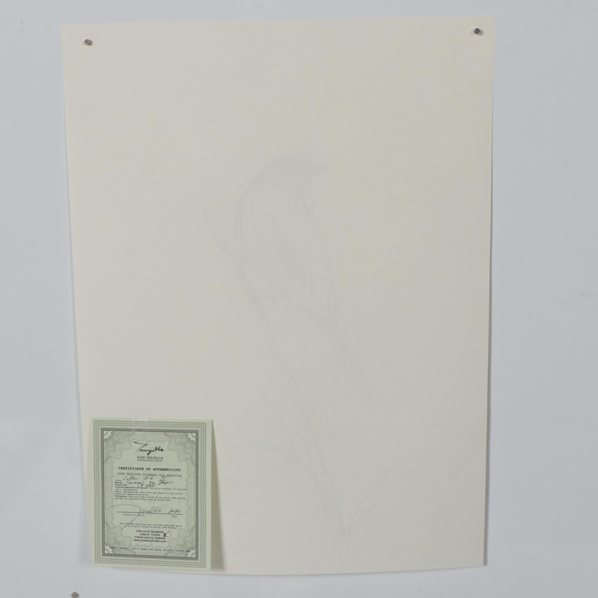 Jose Trujillo Charcoal Drawing "Little Bird II"