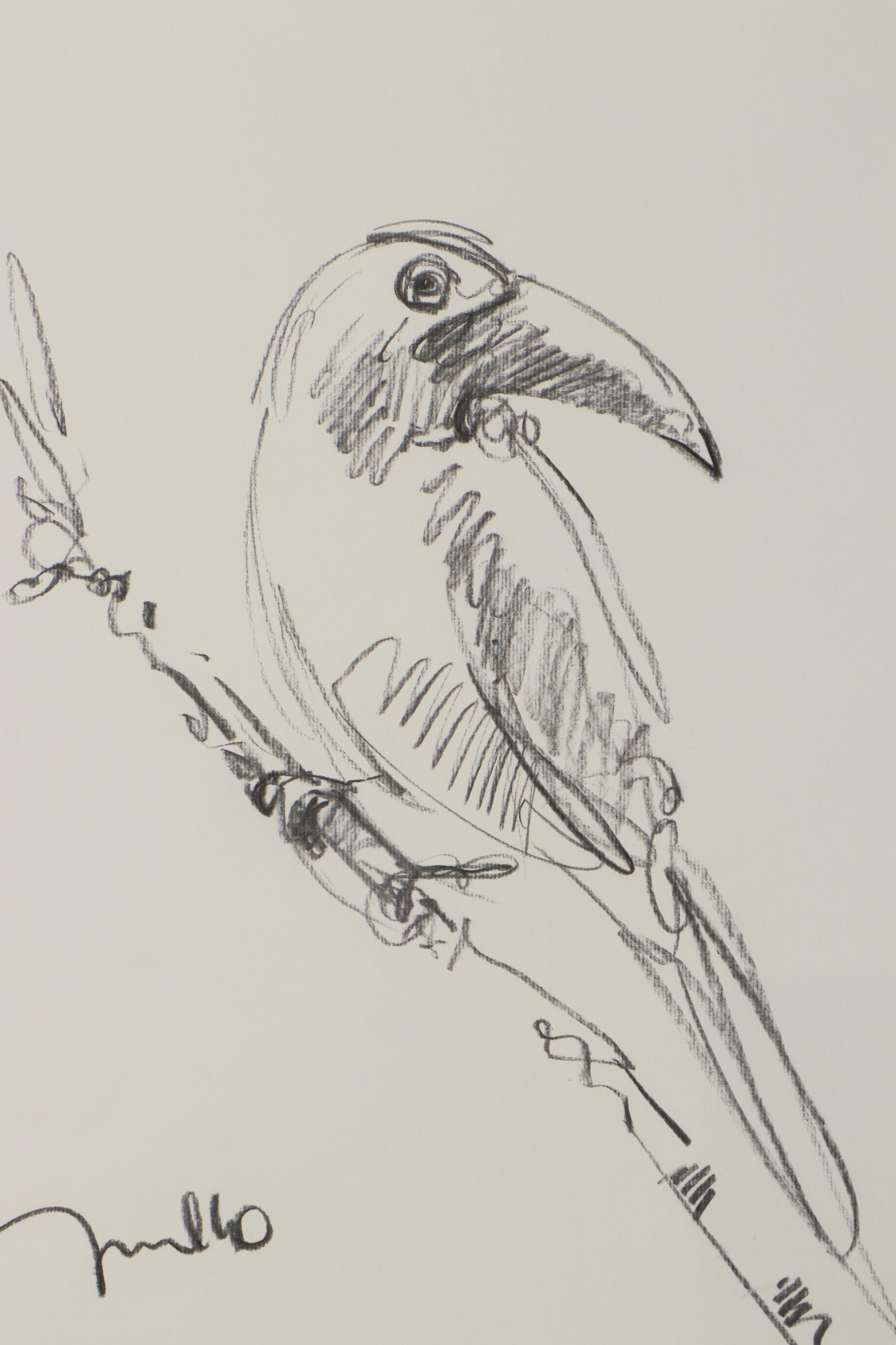 Jose Trujillo Charcoal Drawing "Tropical Bird"