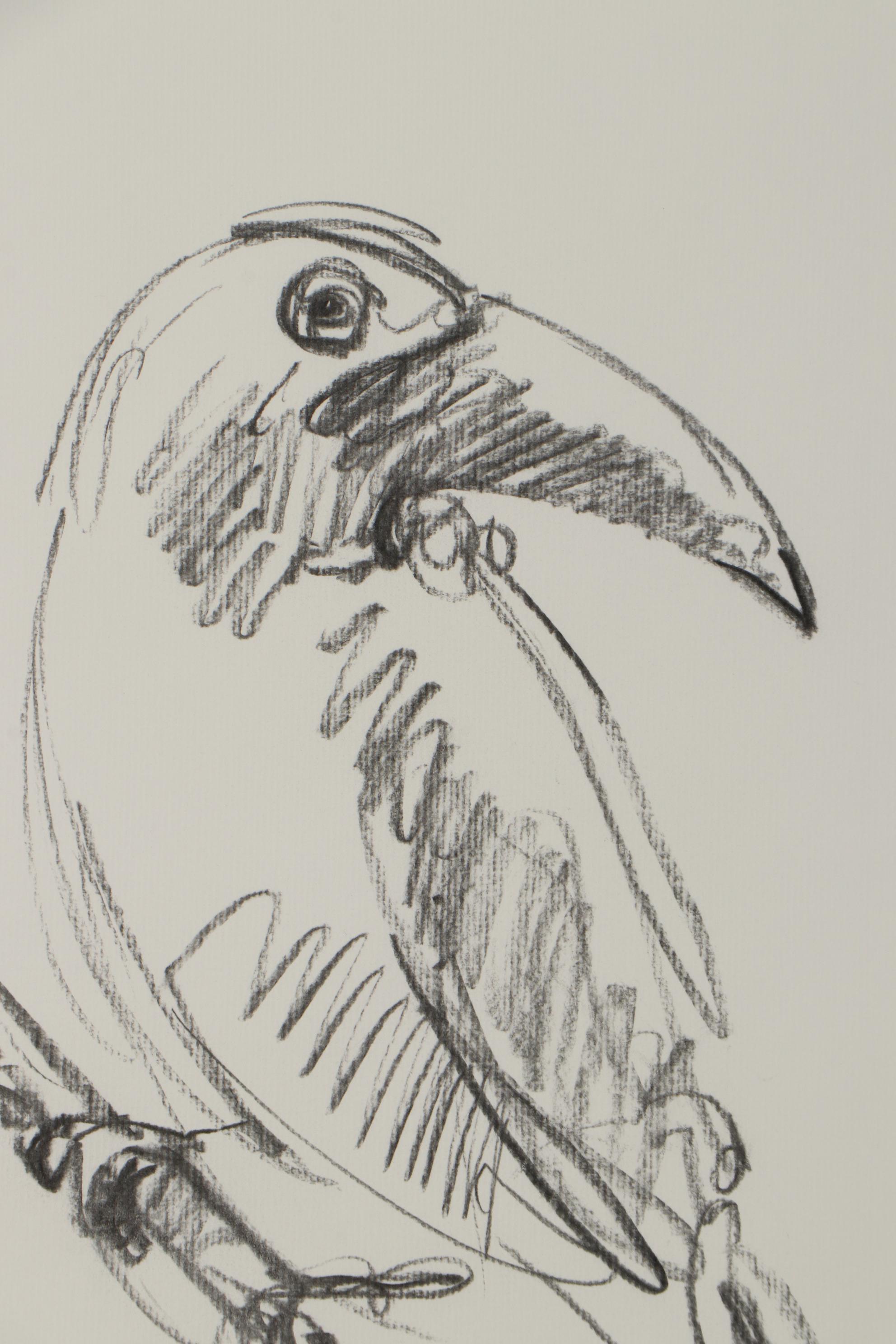 Jose Trujillo Charcoal Drawing "Tropical Bird"