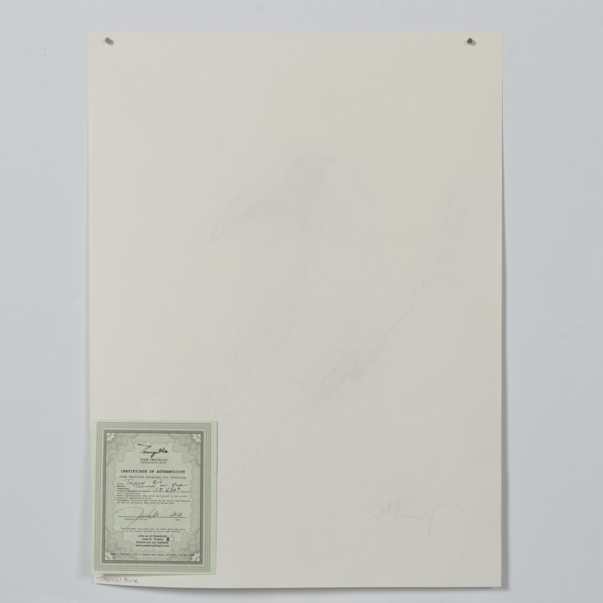 Jose Trujillo Charcoal Drawing "Tropical Bird"