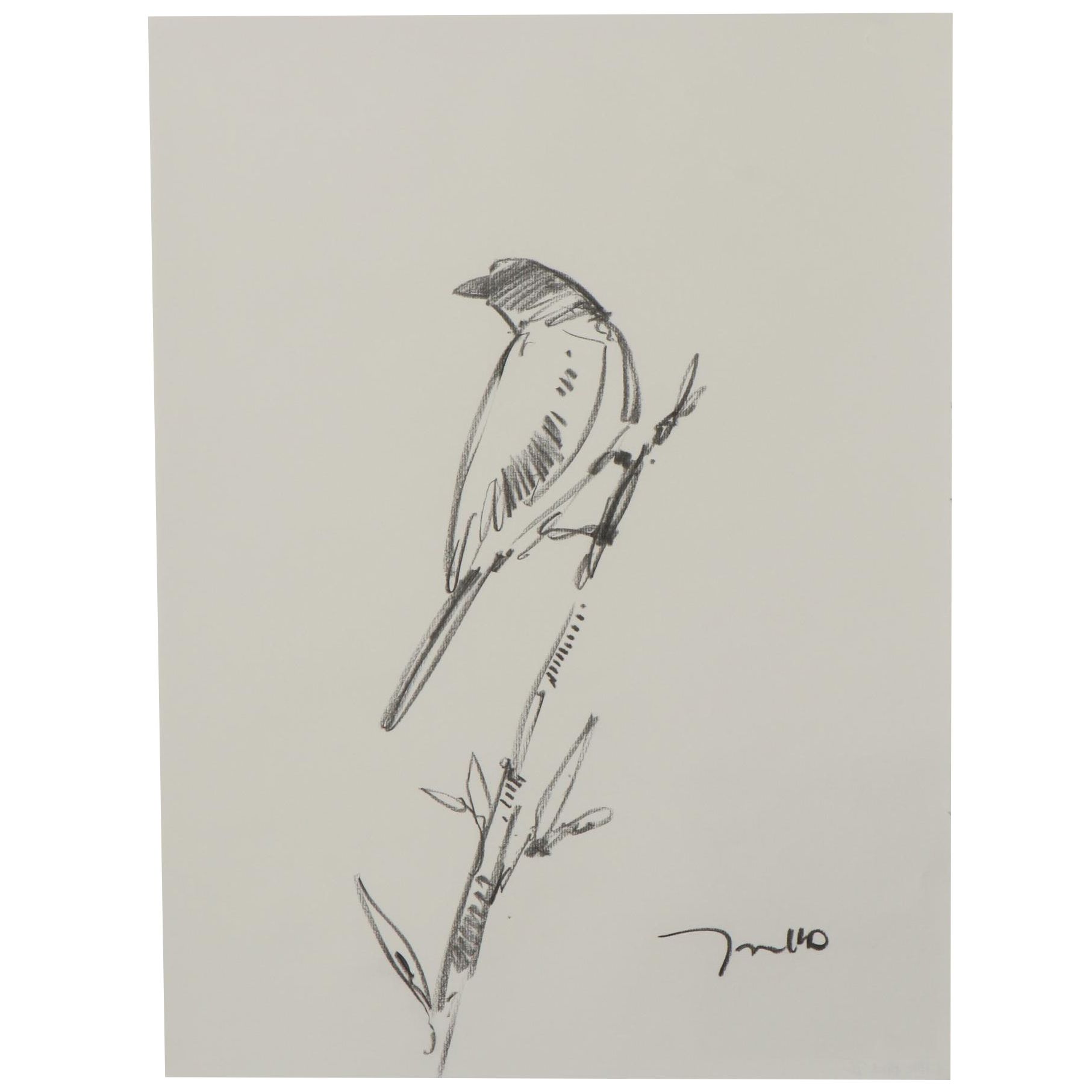 Jose Trujillo Charcoal Drawing "Little Bird II"