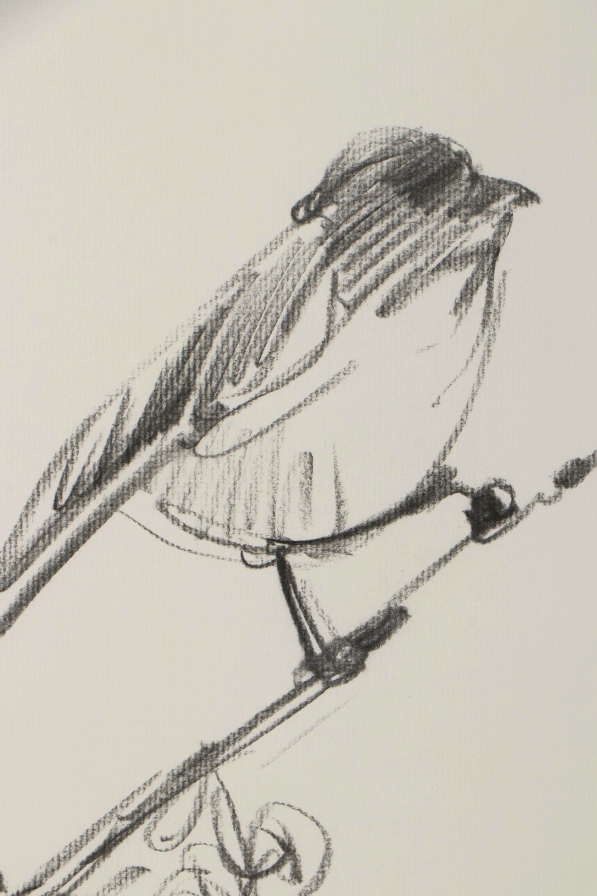 Jose Trujillo Charcoal Drawing "Little Bird"