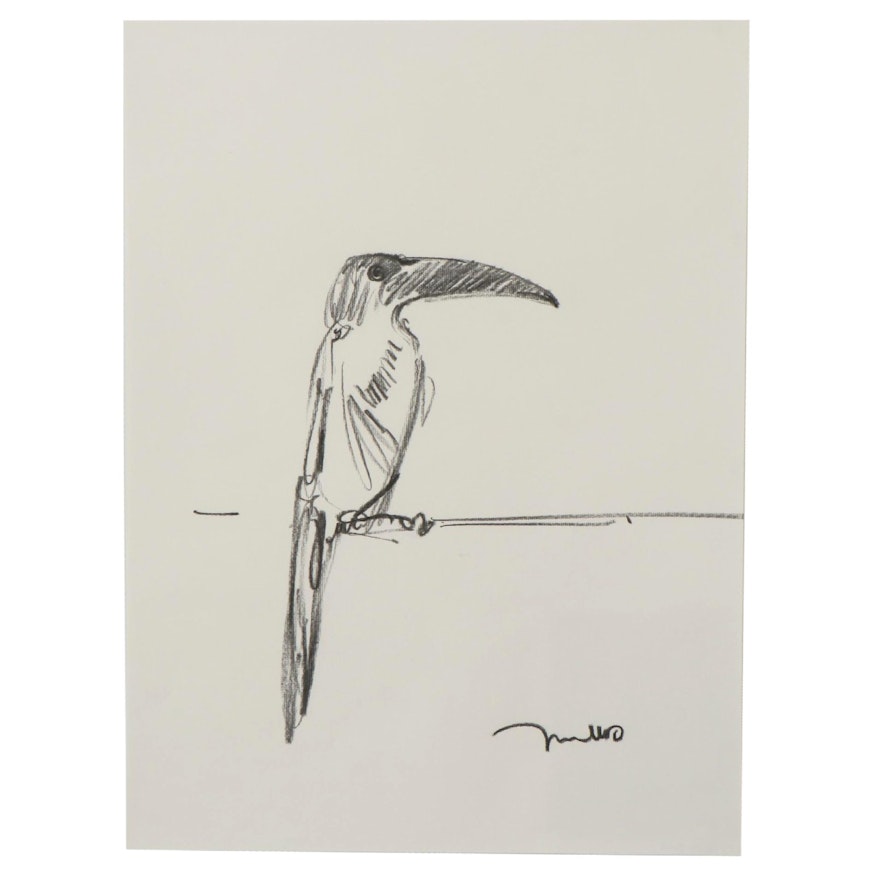 Jose Trujillo Charcoal Drawing "Tropical Bird"
