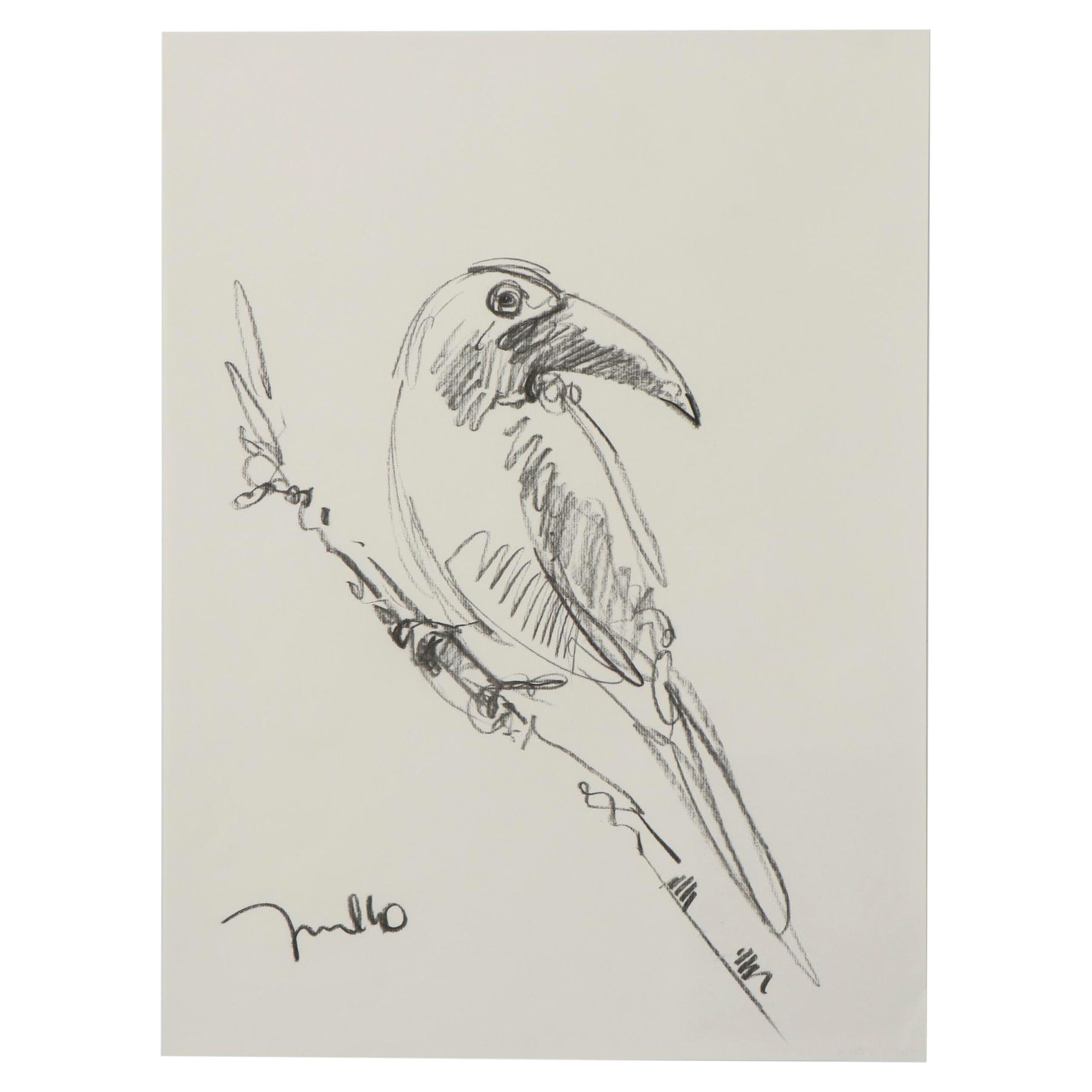 Jose Trujillo Charcoal Drawing "Tropical Bird"