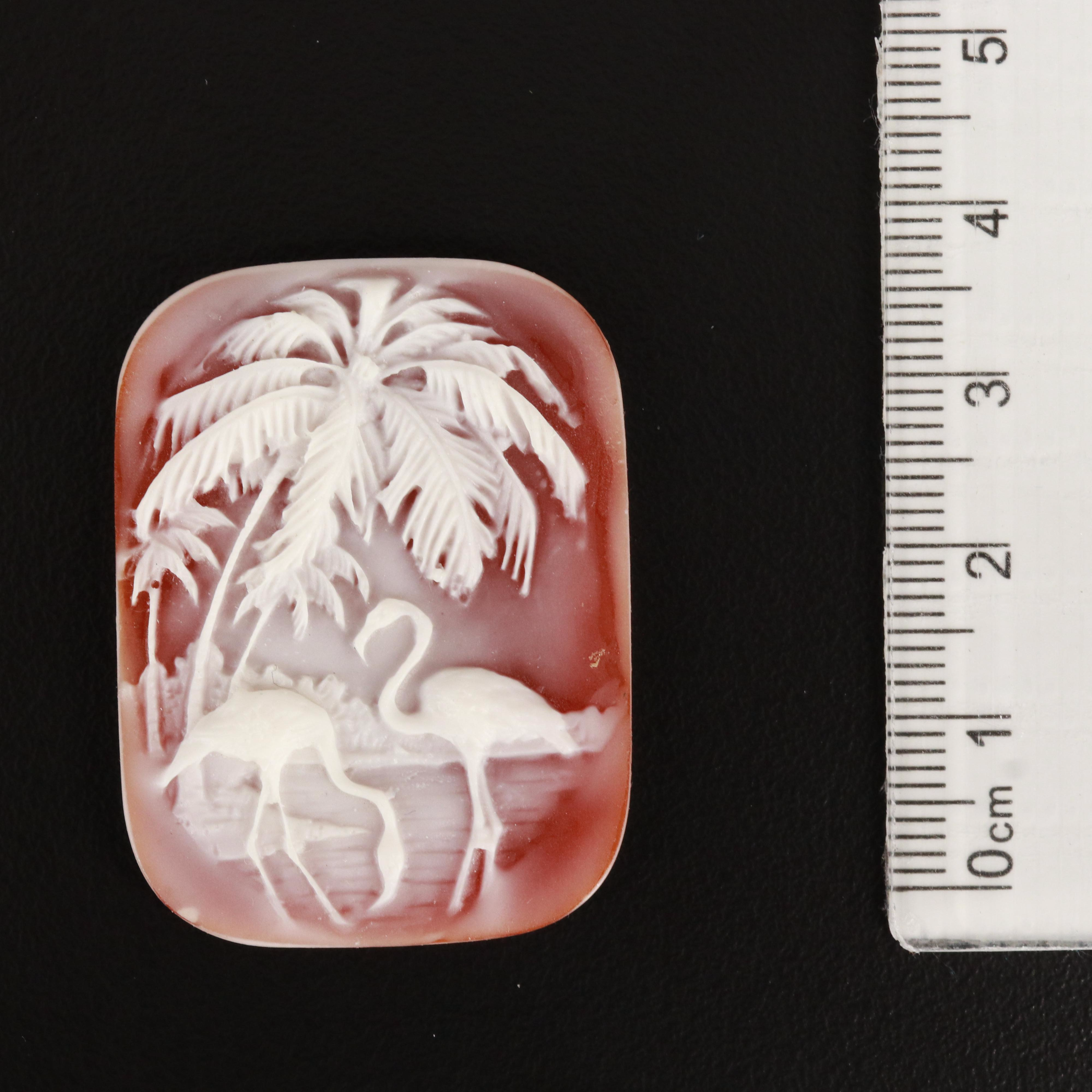 Loose Plastic Cameo Assortment