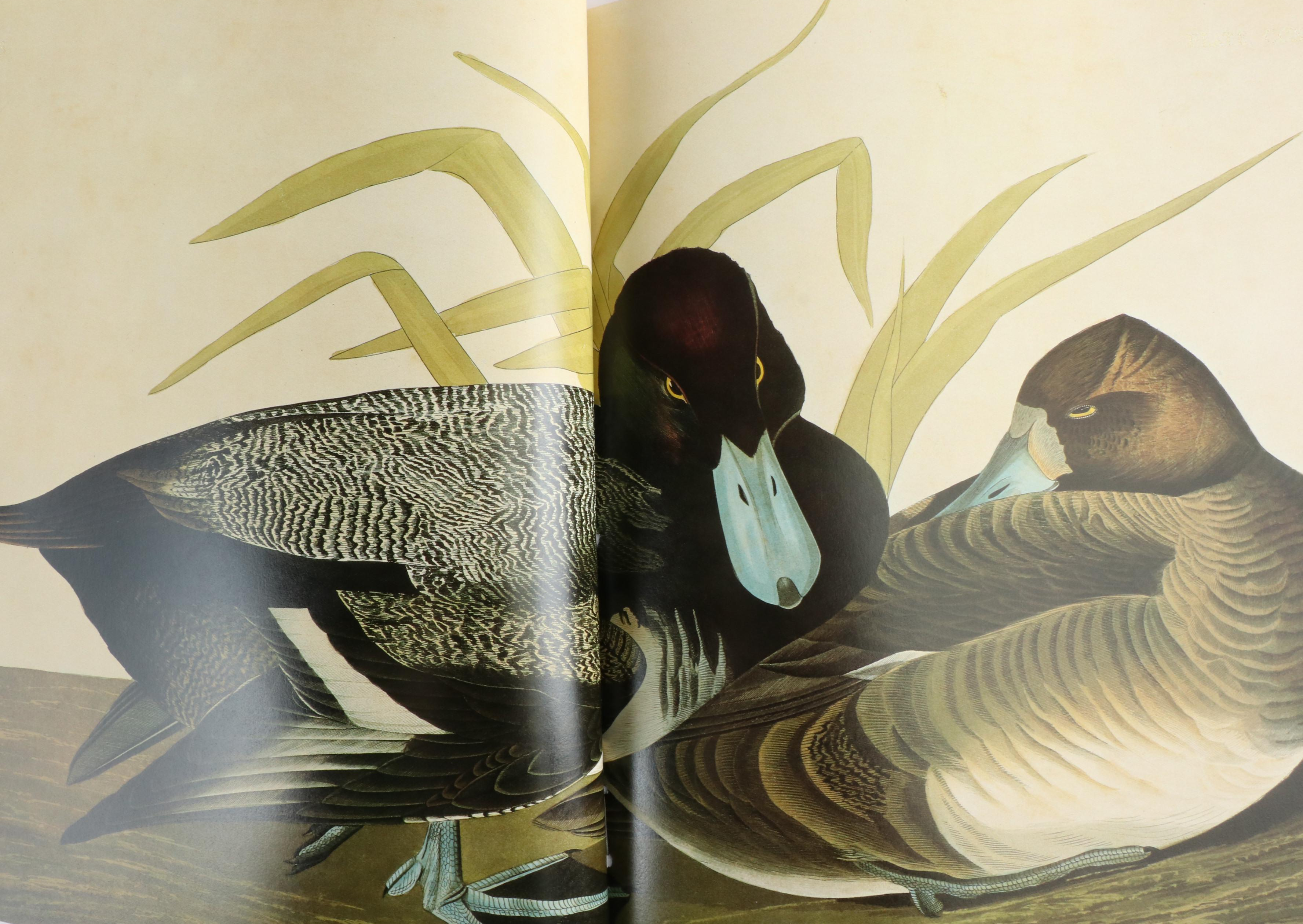 Second Edition "Audubon's Birds of America" Baby Elephant Folio by the Petersons