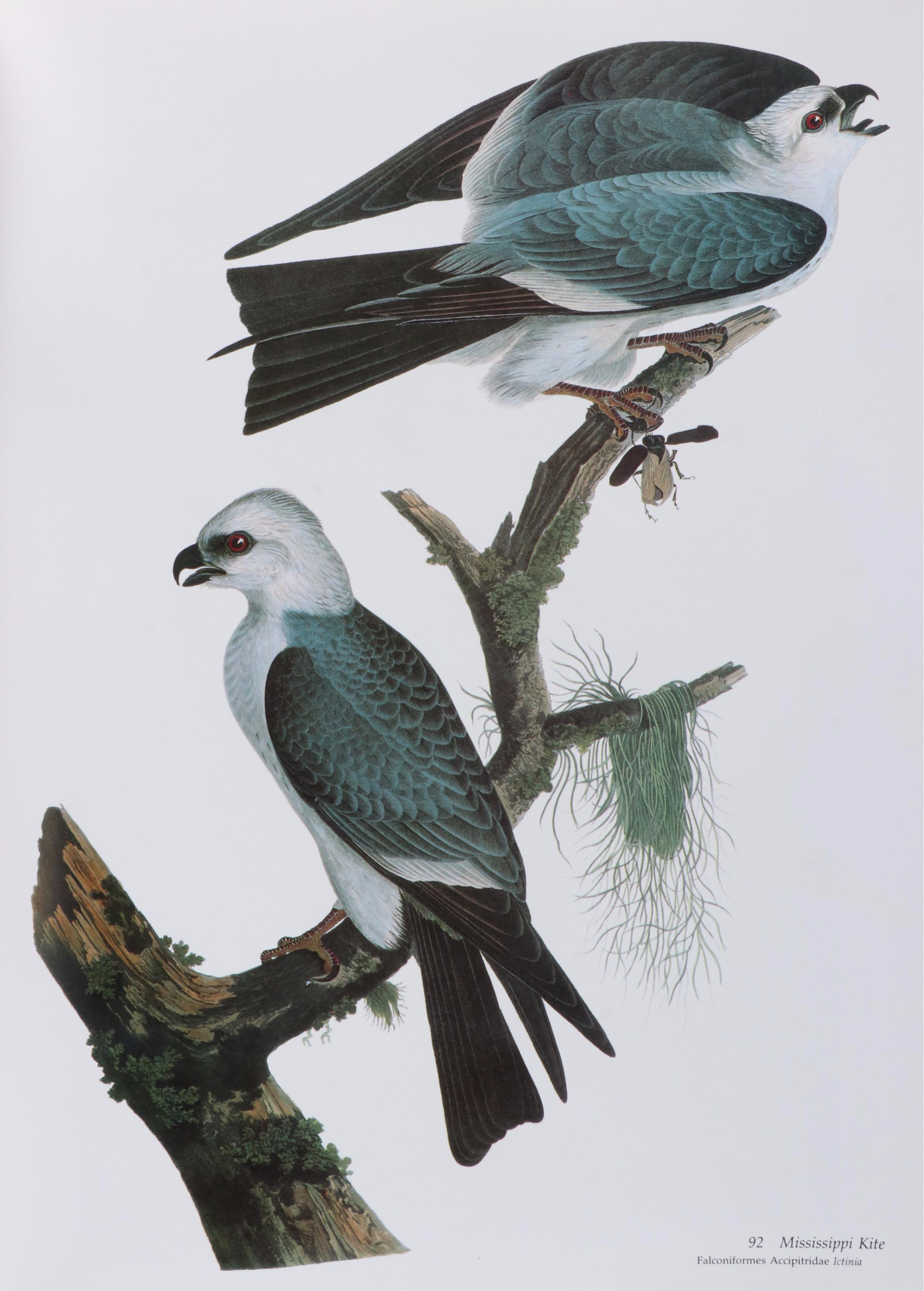 Second Edition "Audubon's Birds of America" Baby Elephant Folio by the Petersons