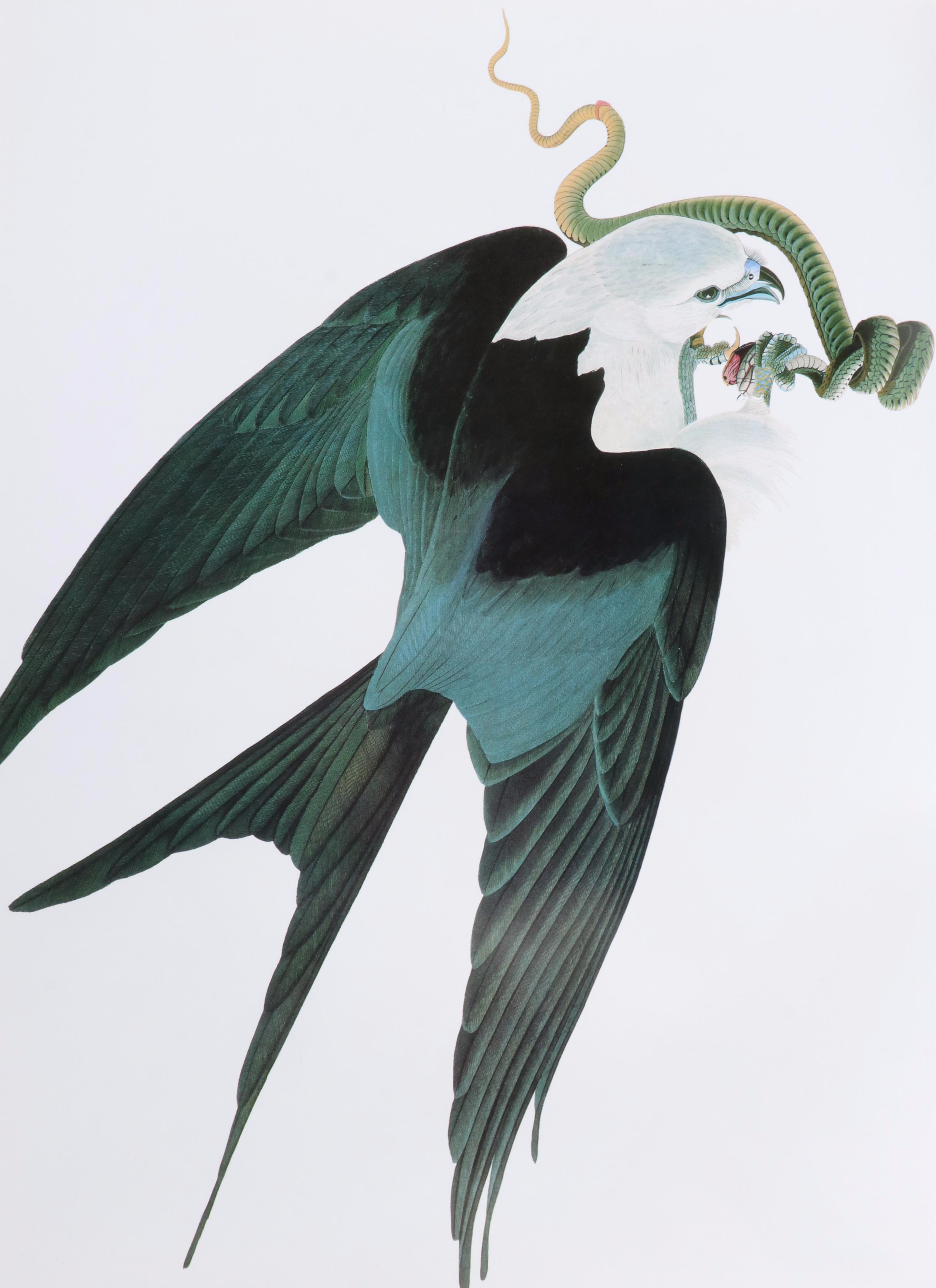 Second Edition "Audubon's Birds of America" Baby Elephant Folio by the Petersons