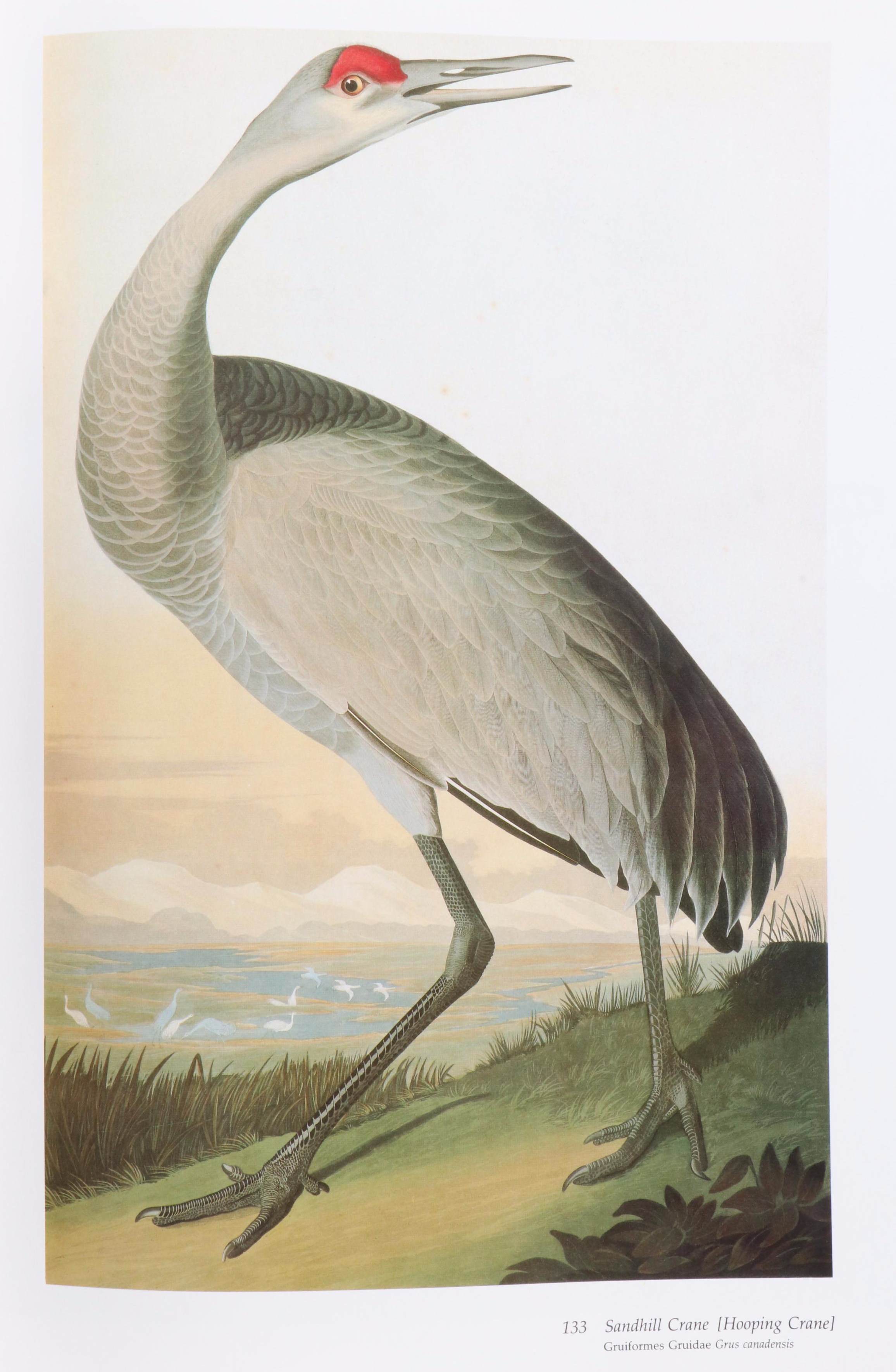 Second Edition "Audubon's Birds of America" Baby Elephant Folio by the Petersons