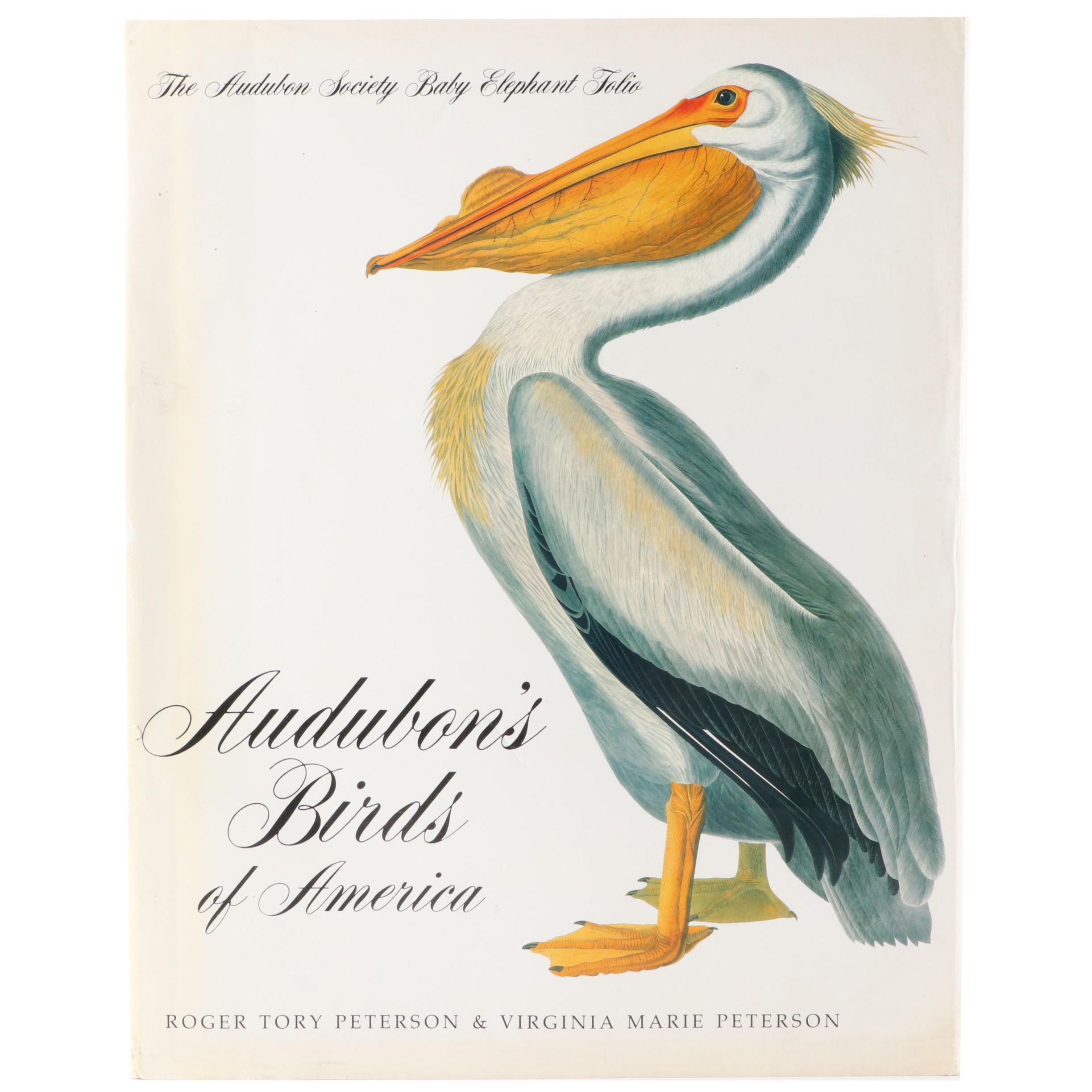 Second Edition "Audubon's Birds of America" Baby Elephant Folio by the Petersons