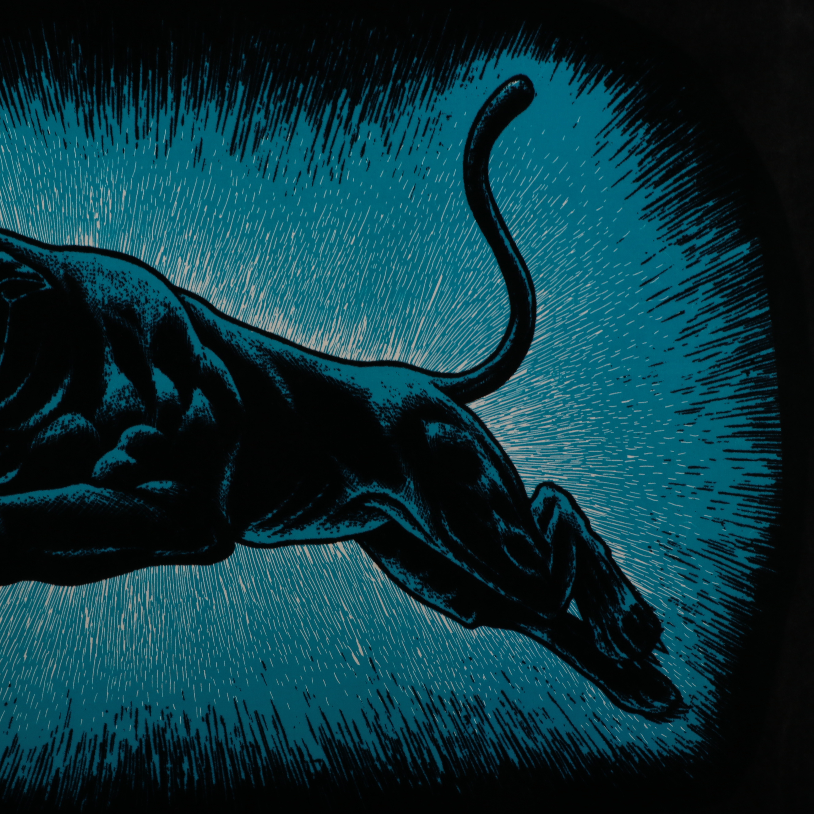 Flocked Lithographic Blacklight Poster of Panther, Late 20th Century
