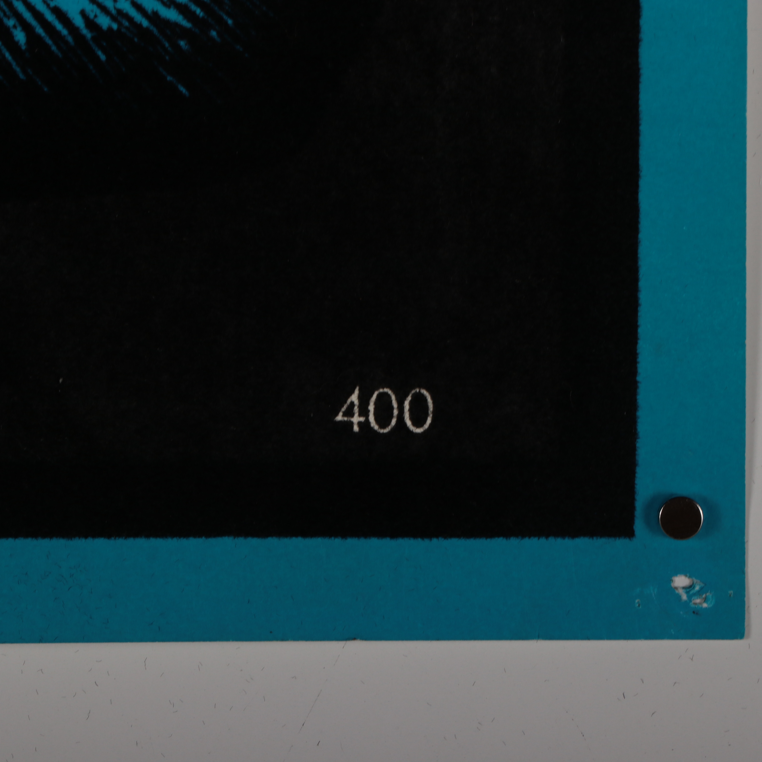 Flocked Lithographic Blacklight Poster of Panther, Late 20th Century