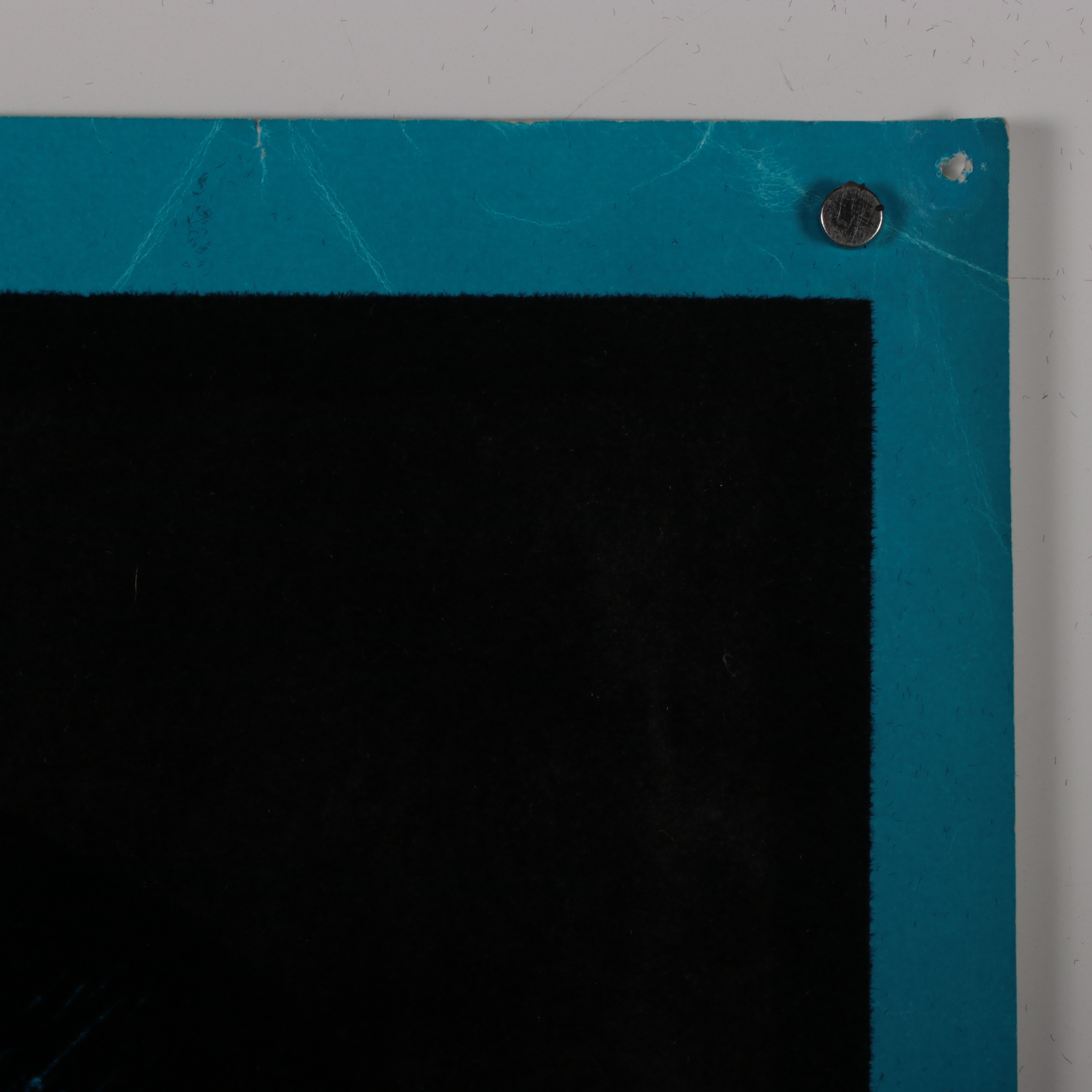 Flocked Lithographic Blacklight Poster of Panther, Late 20th Century