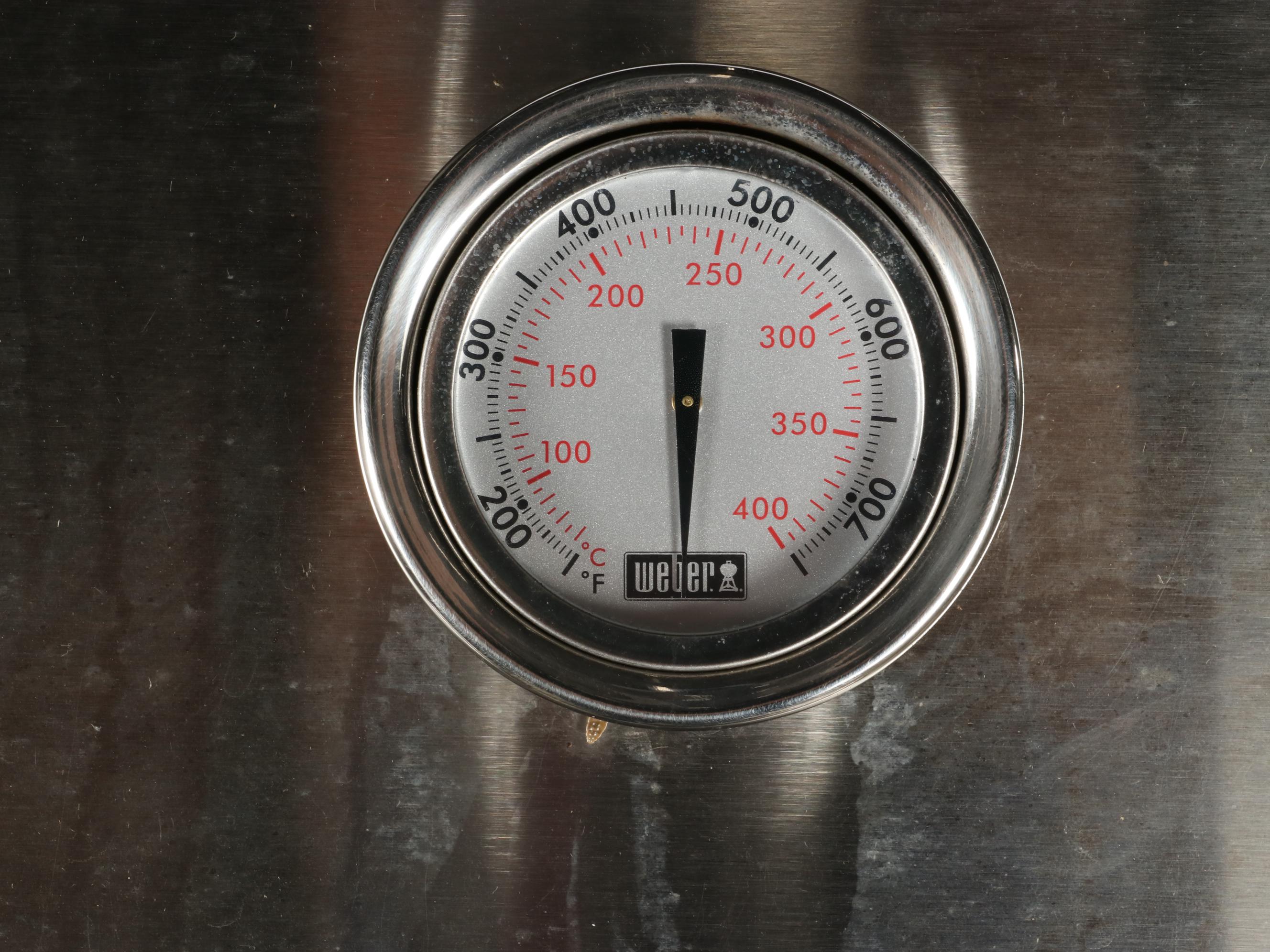 Weber Genesis II GS4 Gas Grill with Cover