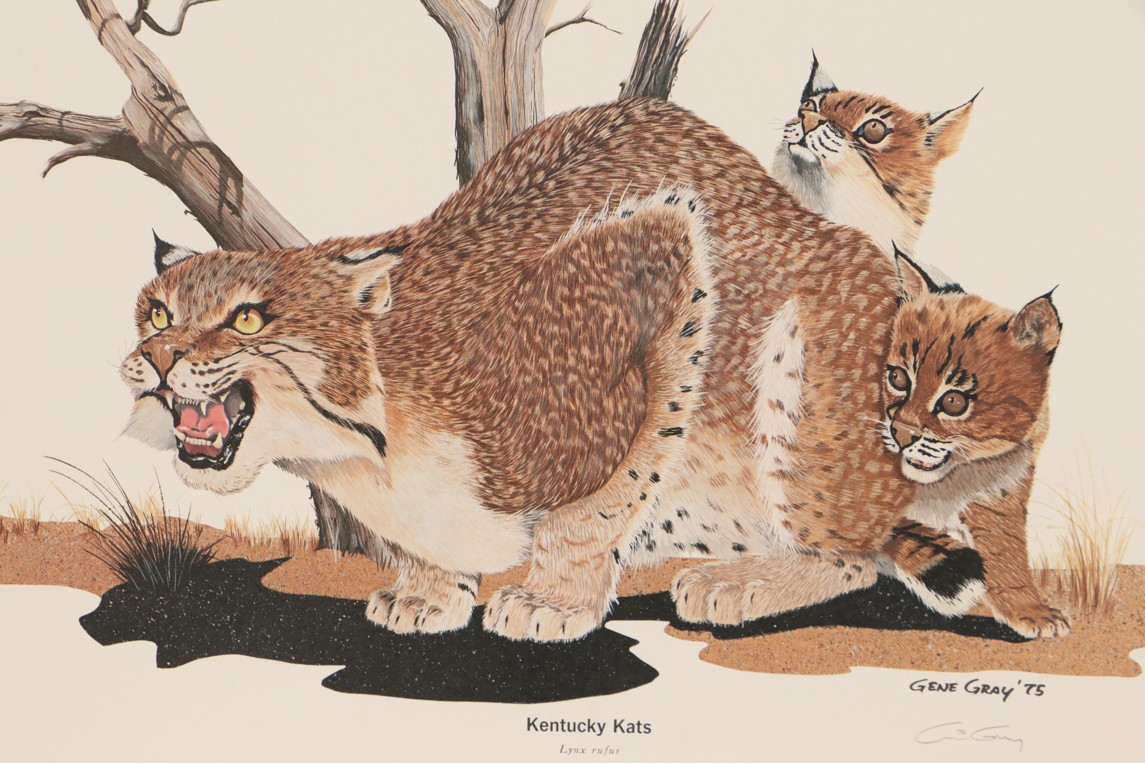 Gene Gray Offset Lithograph "Wildcat," Circa 1975