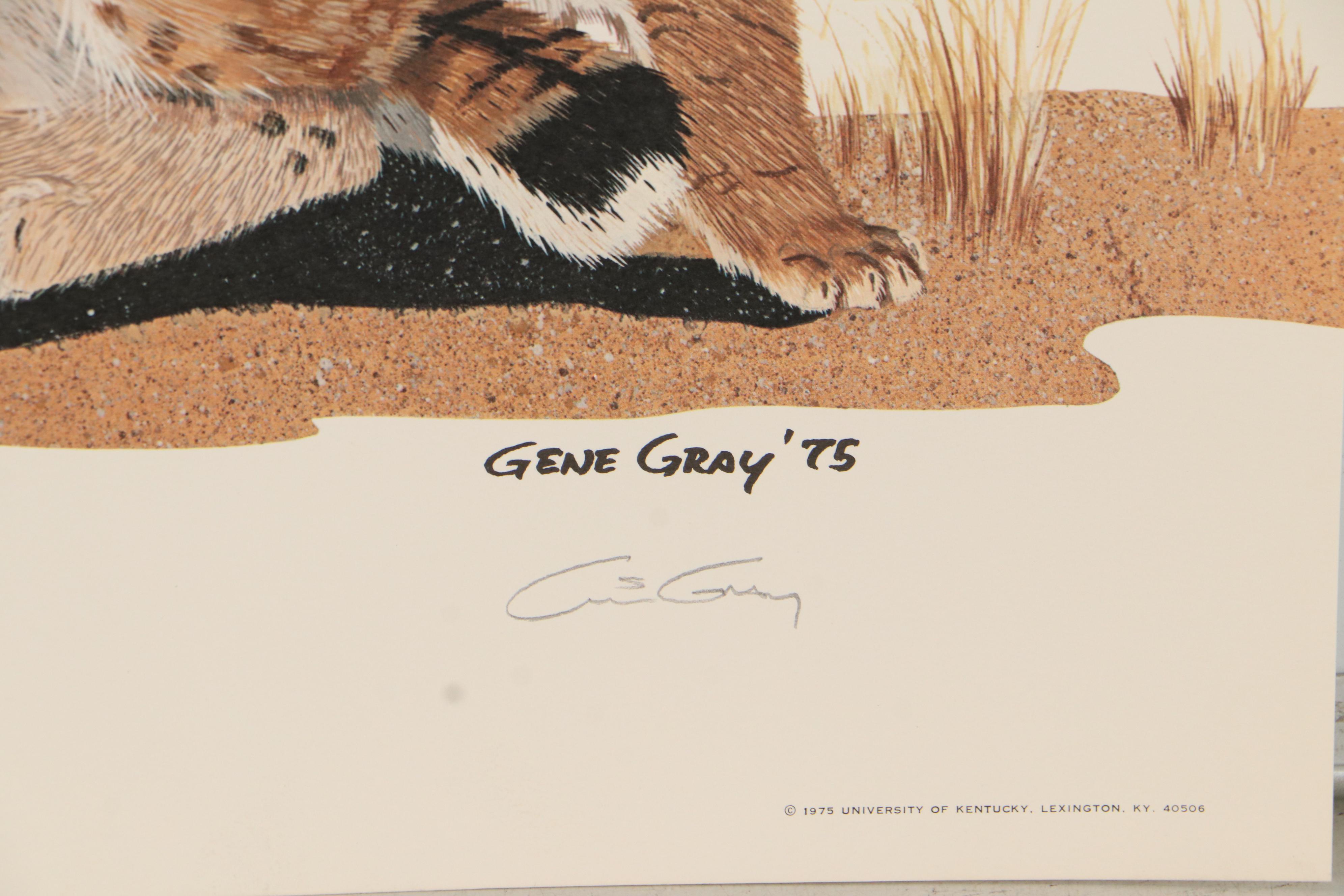 Gene Gray Offset Lithograph "Wildcat," Circa 1975