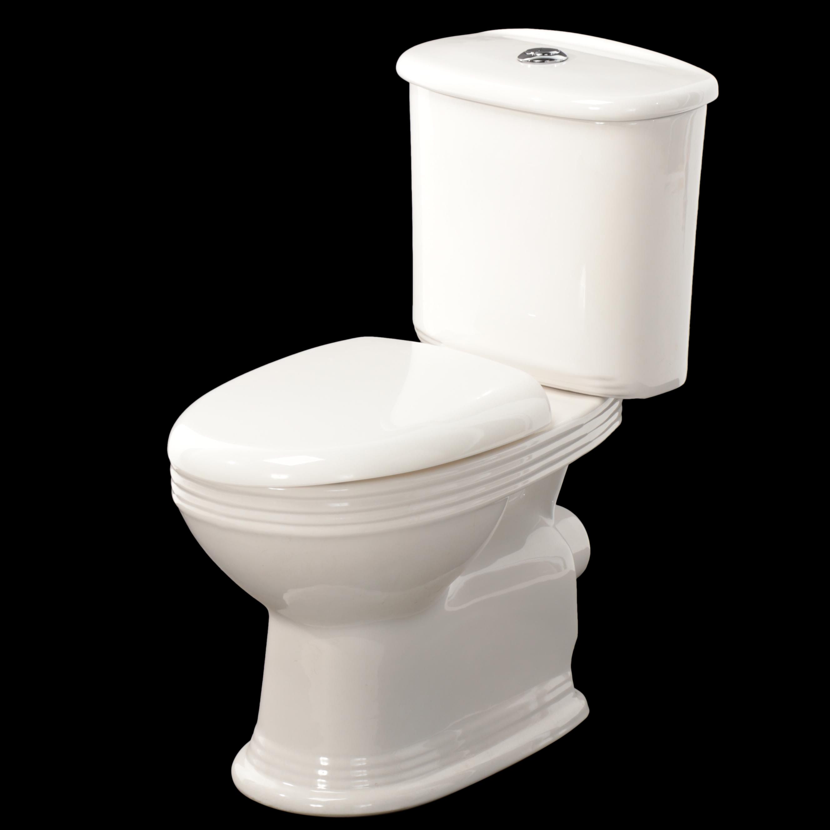 Dual Flush White Porcelain Toilet Bowl with Seat and Toilet Tank