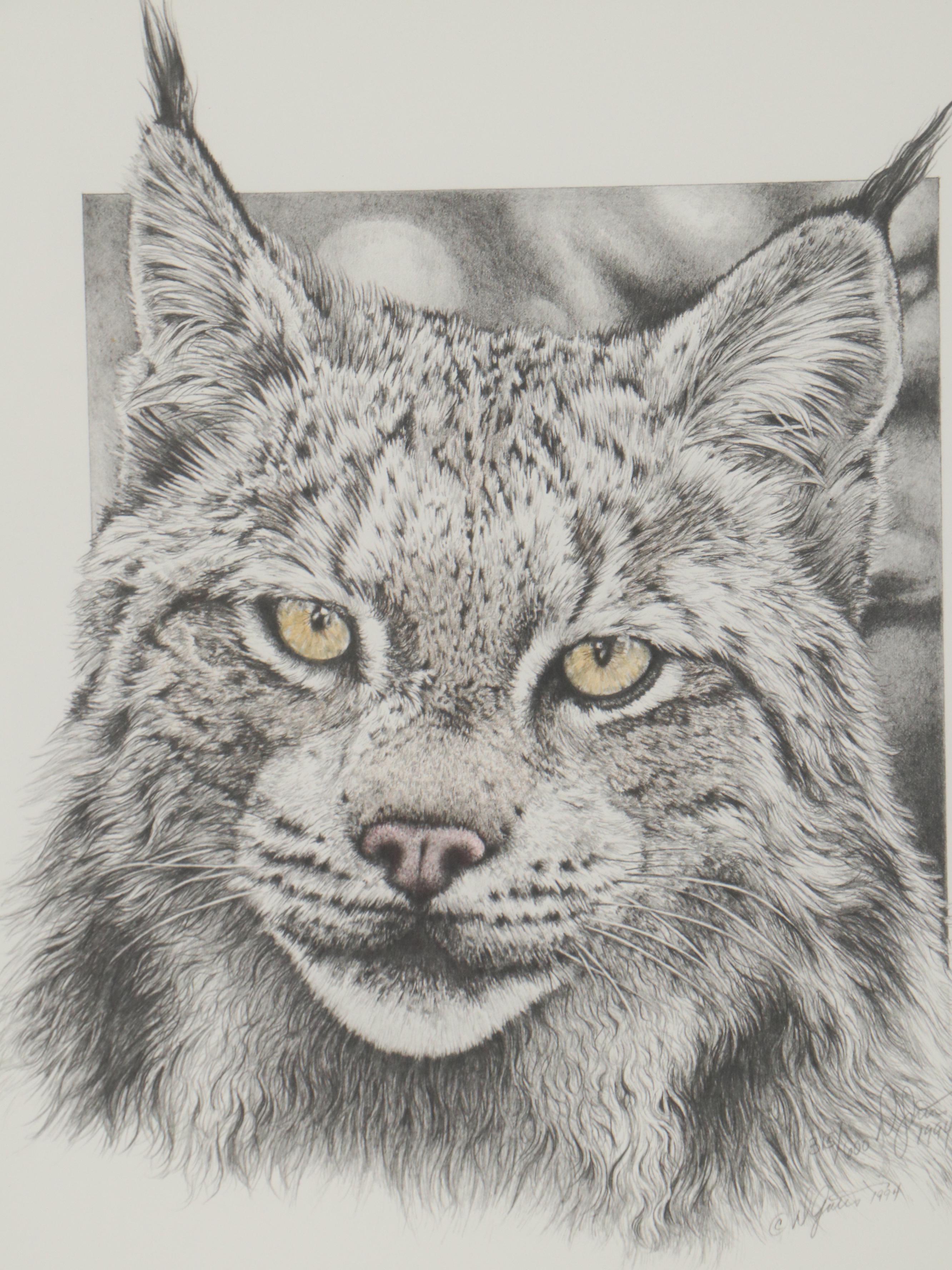 Donna Gates King Offset Lithographs of a Fox and Lynx