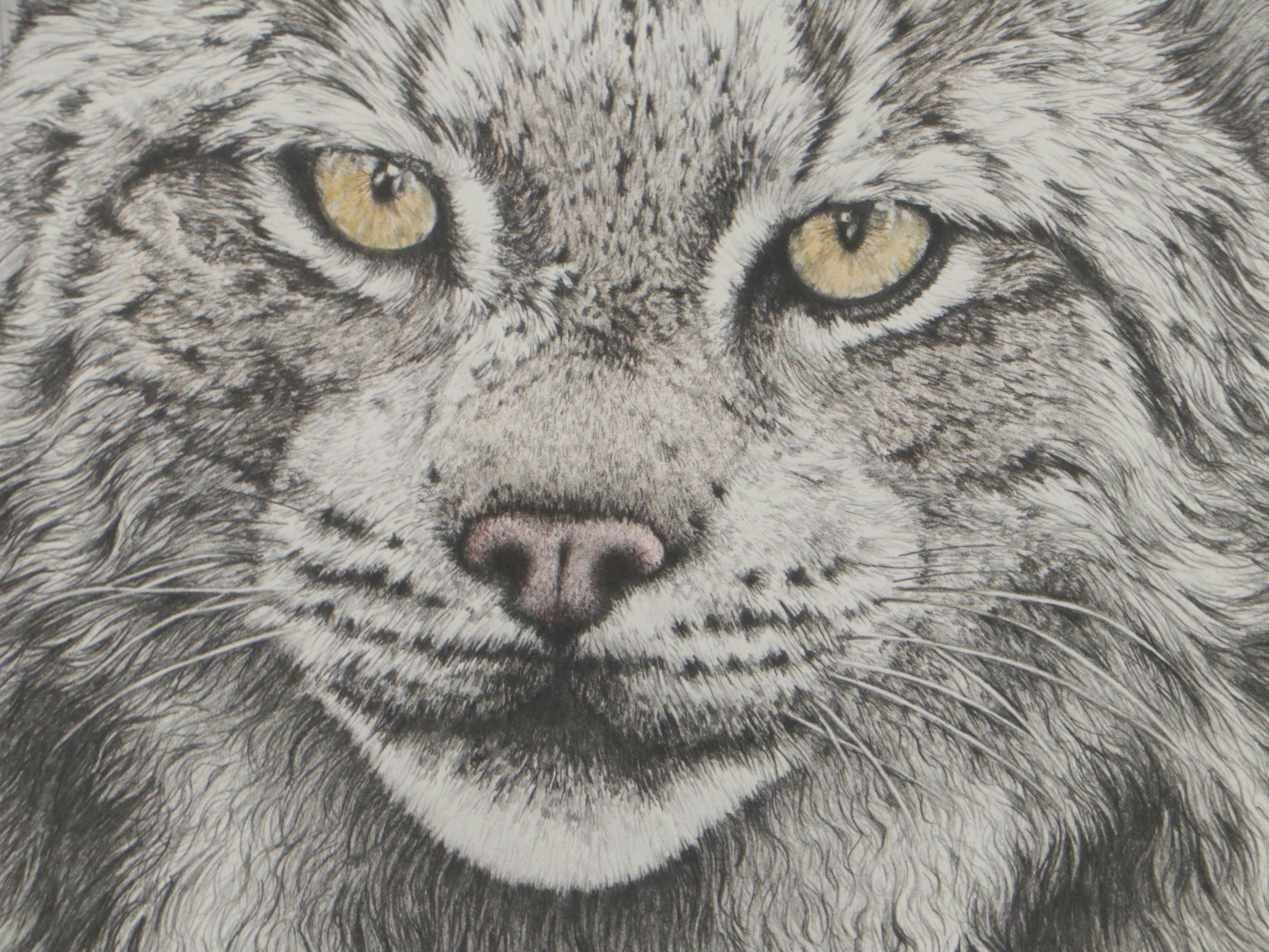 Donna Gates King Offset Lithographs of a Fox and Lynx