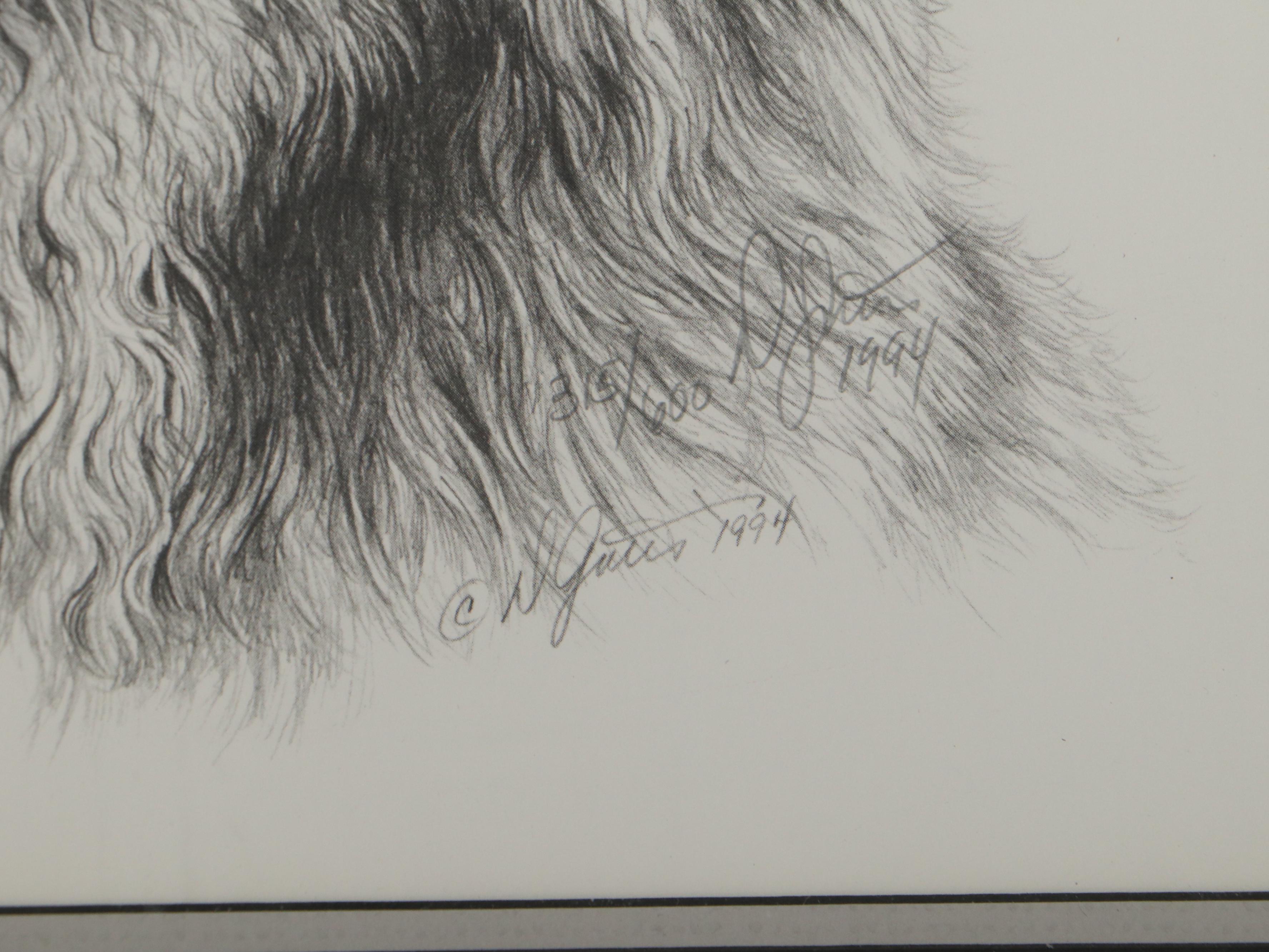 Donna Gates King Offset Lithographs of a Fox and Lynx