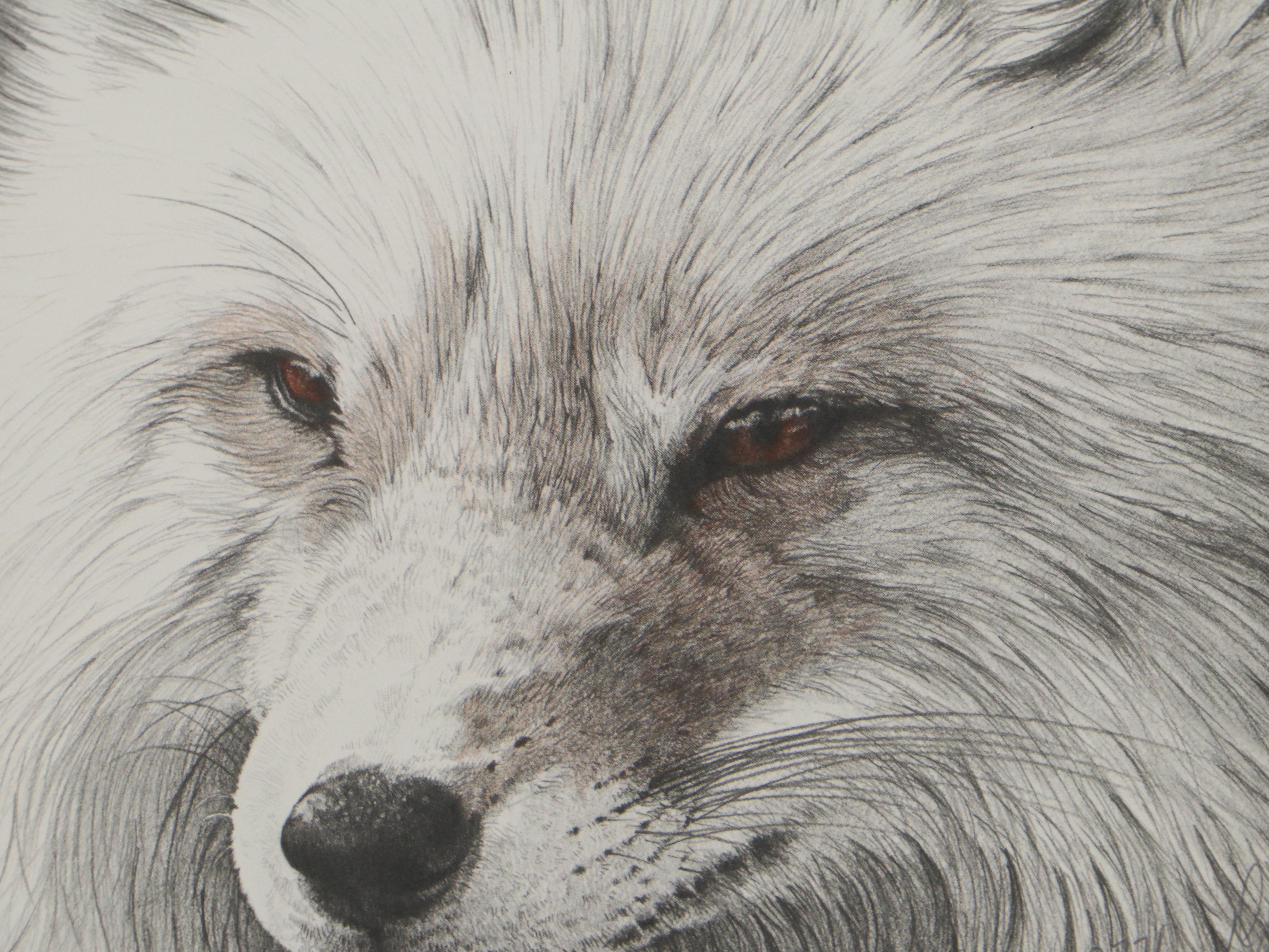 Donna Gates King Offset Lithographs of a Fox and Lynx