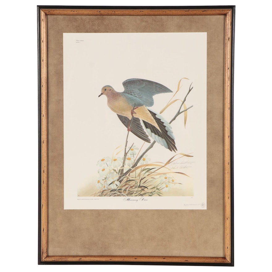 John Ruthven Offset Lithograph "Mourning Dove"