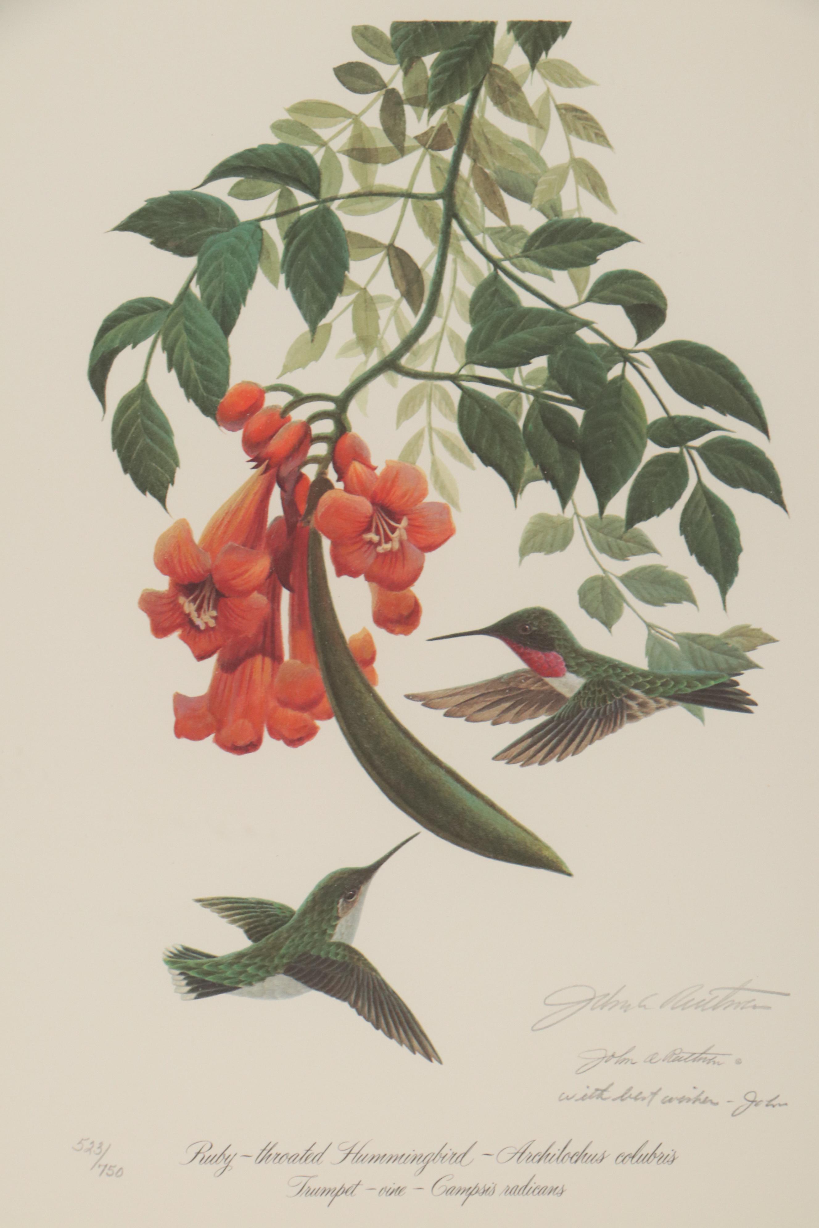 John Ruthven Offset Lithograph "Ruby-Throated Hummingbird," Late 20th Century