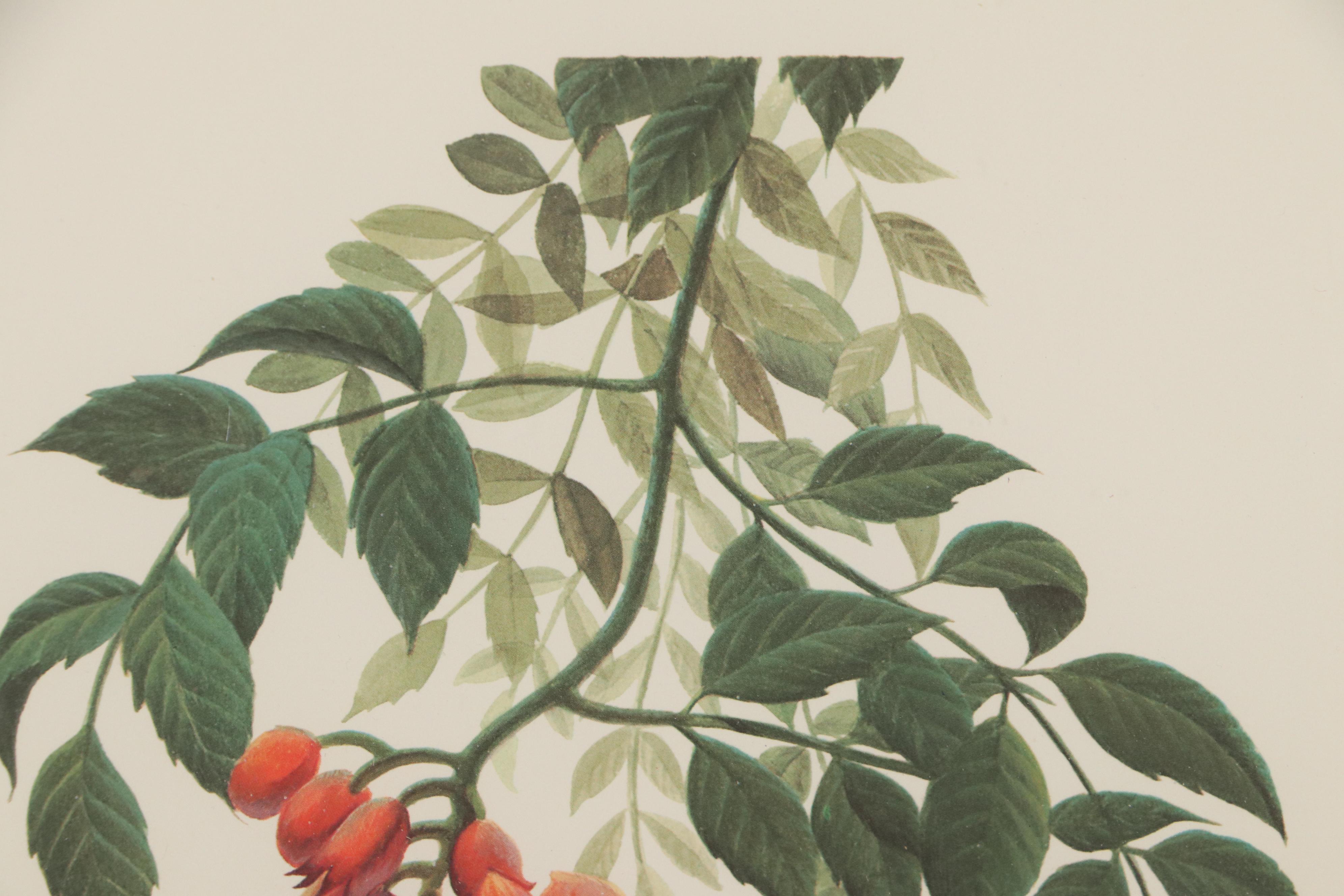 John Ruthven Offset Lithograph "Ruby-Throated Hummingbird," Late 20th Century